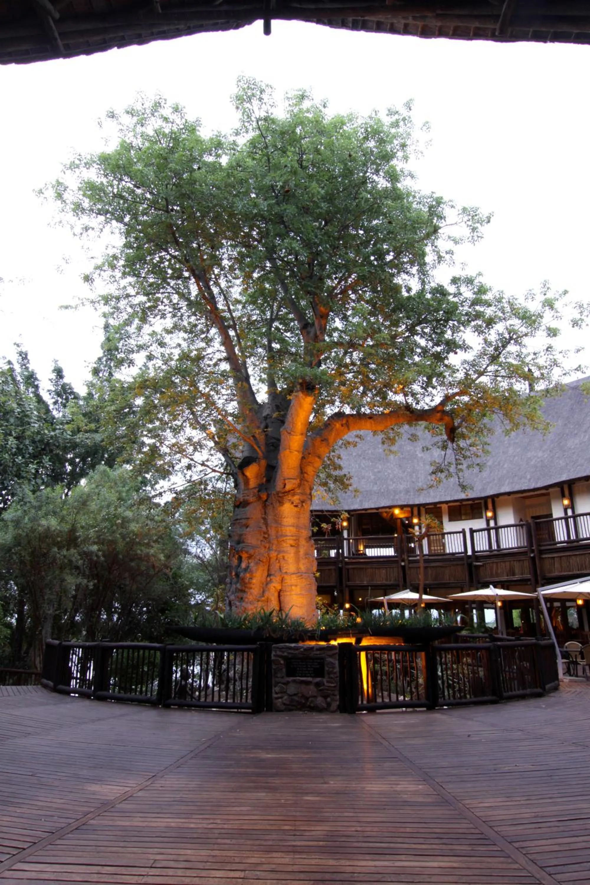 Patio in Cresta Mowana Safari Resort & Spa