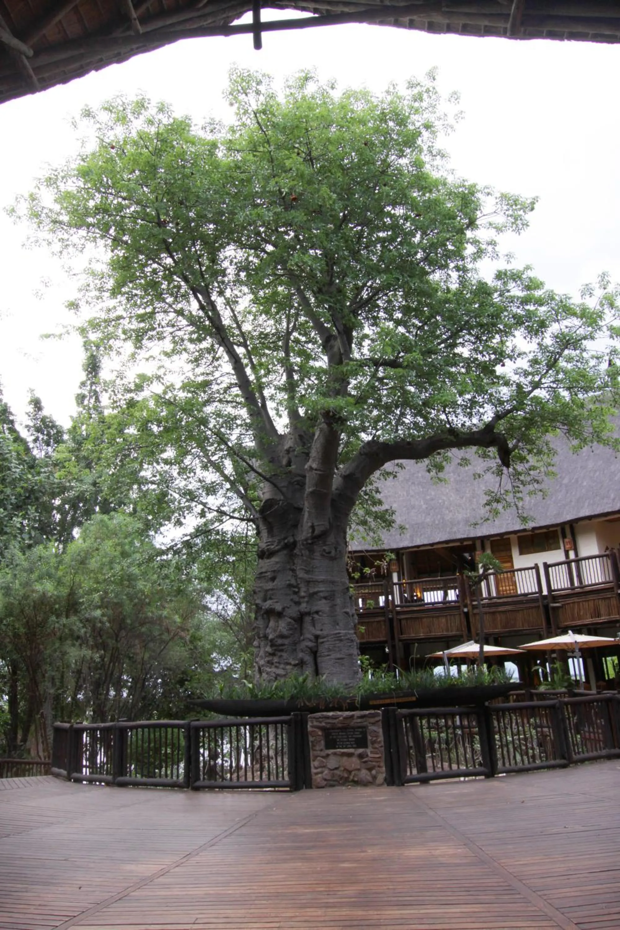 Patio in Cresta Mowana Safari Resort & Spa