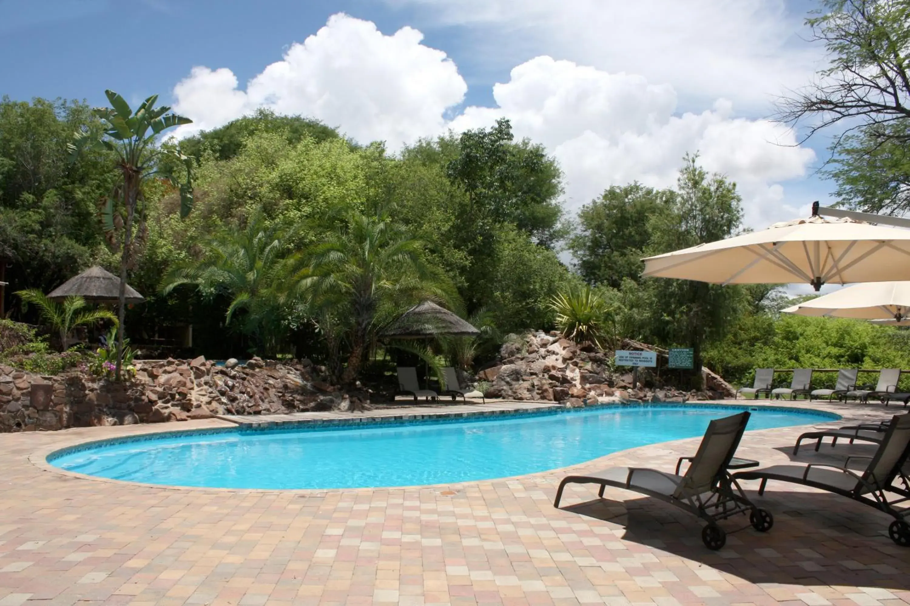 Swimming pool in Cresta Mowana Safari Resort & Spa Swimming pool in Cresta Mowana Safari Resort & Spa