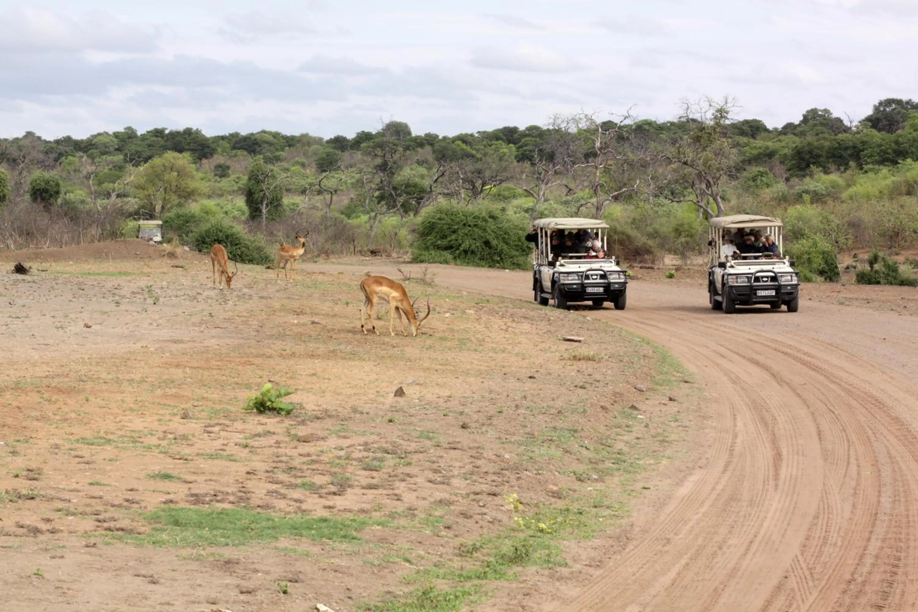 Activities in Cresta Mowana Safari Resort & Spa