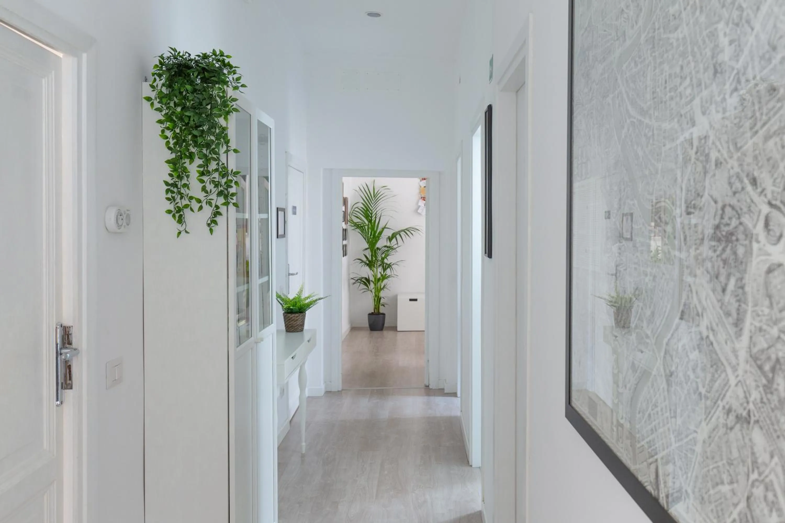 Animals in A+ Bed and Breakfast