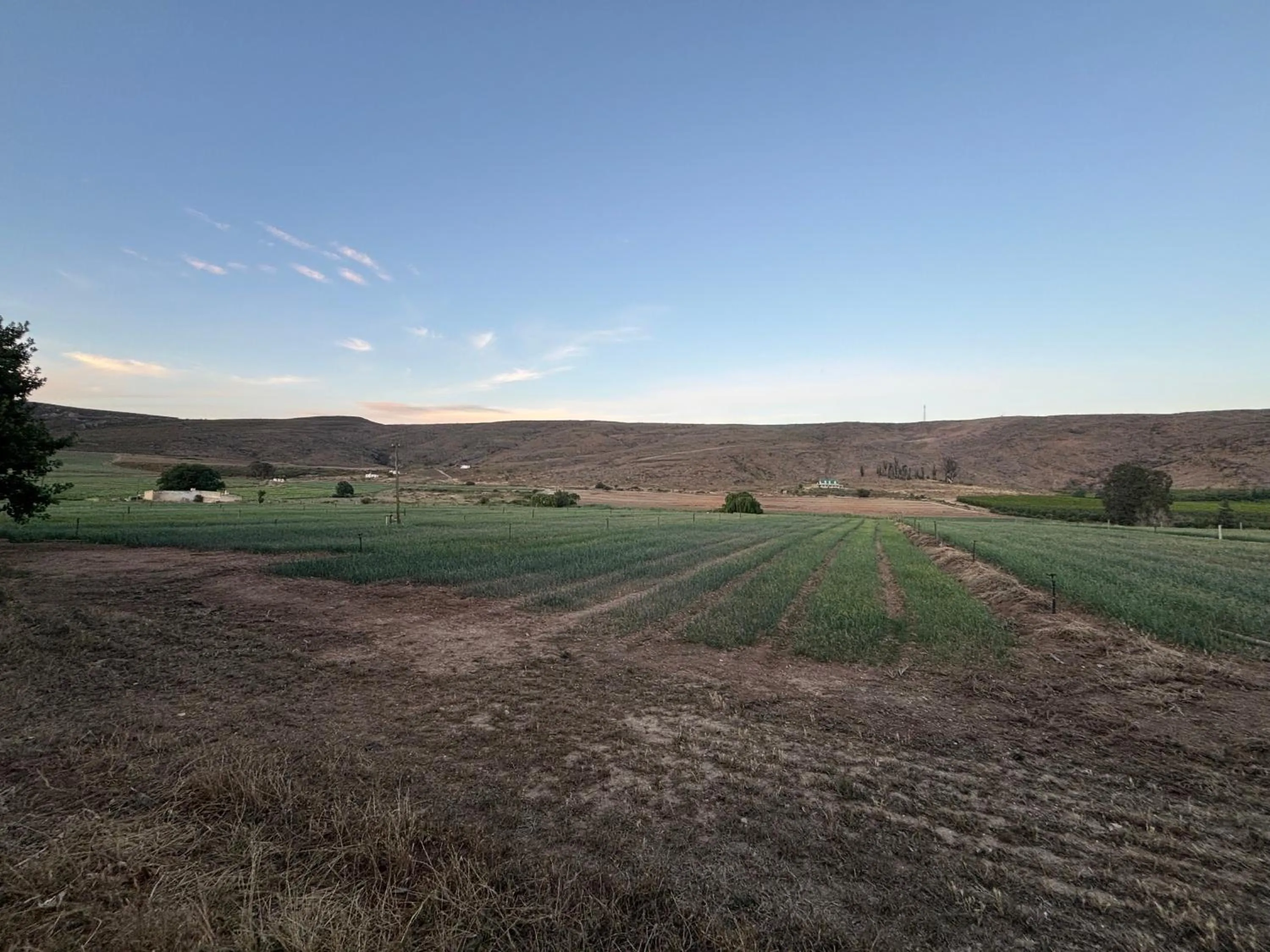 Garden view in Blue Cow Barn - Boutique Farm