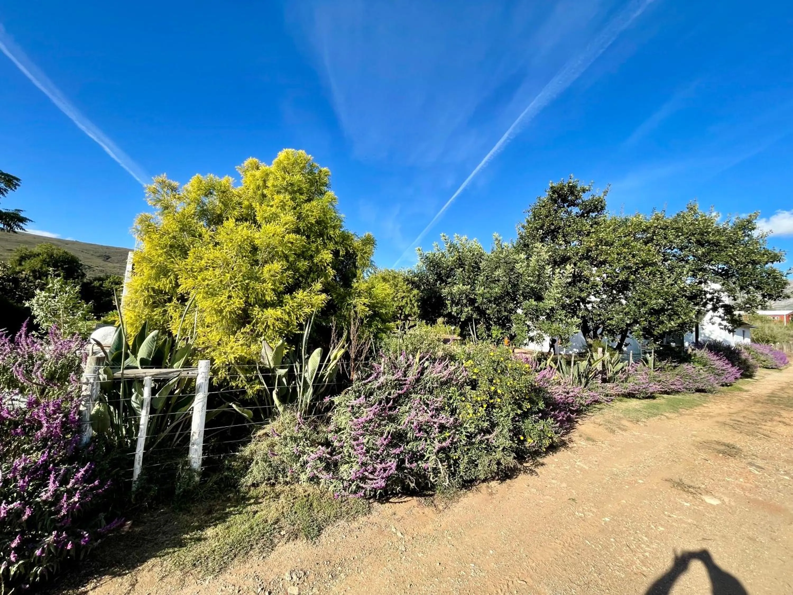 Garden in Blue Cow Barn - Boutique Farm