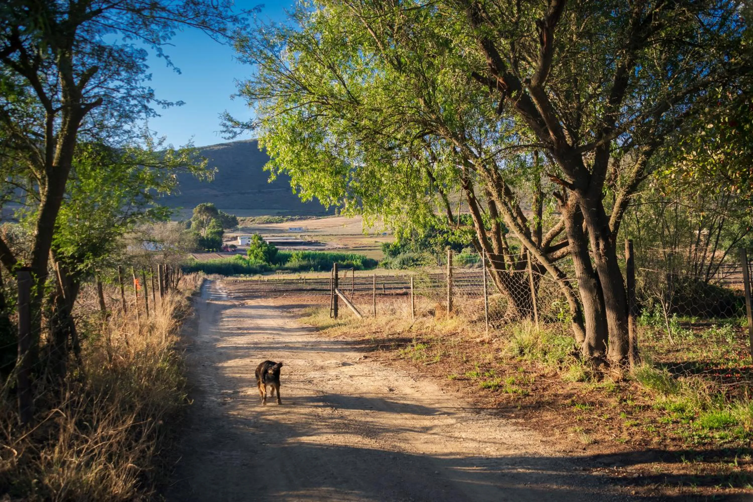 View (from property/room) in Blue Cow Barn - Boutique Farm