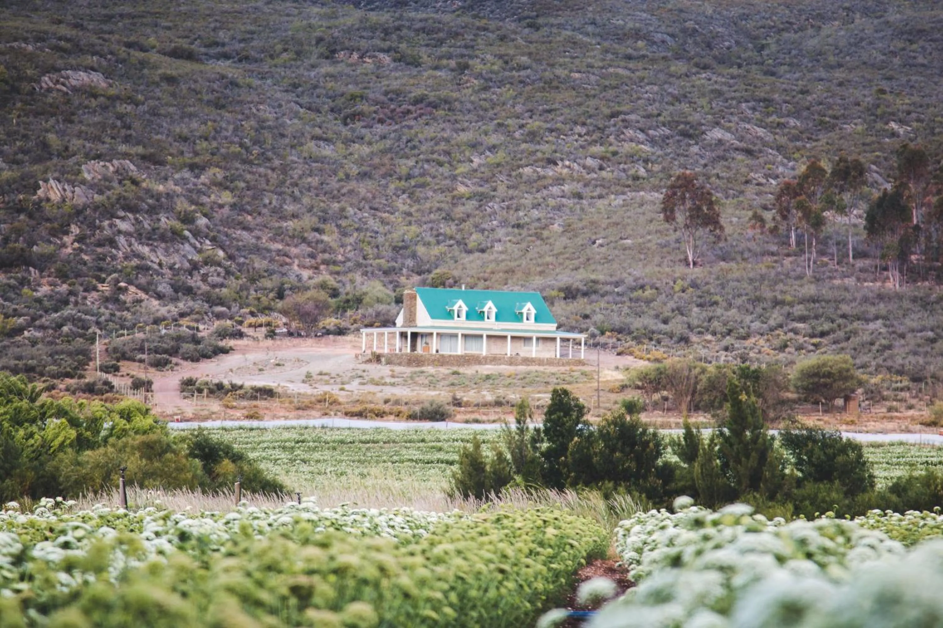 Property building in Blue Cow Barn - Boutique Farm