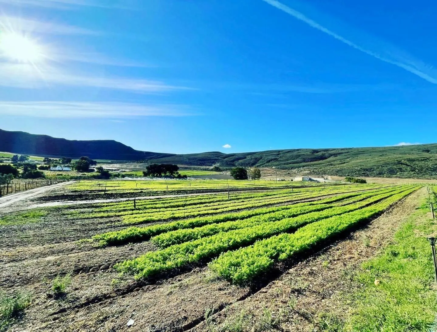 Natural landscape in Blue Cow Barn - Boutique Farm