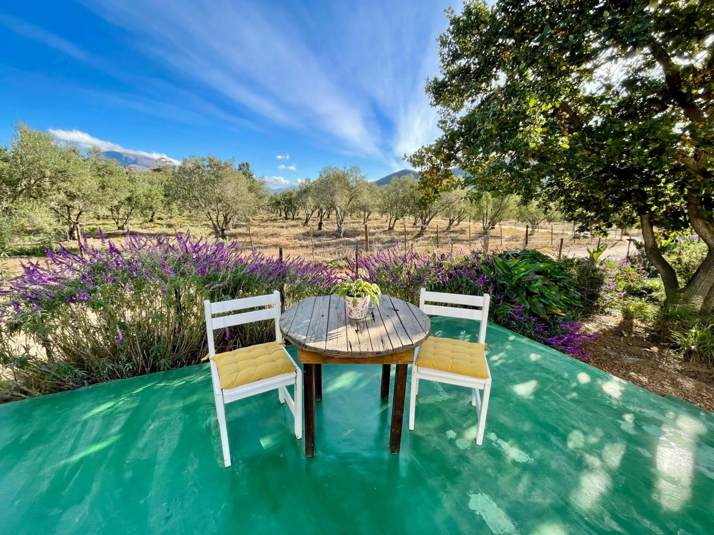 Patio in Blue Cow Barn - Boutique Farm