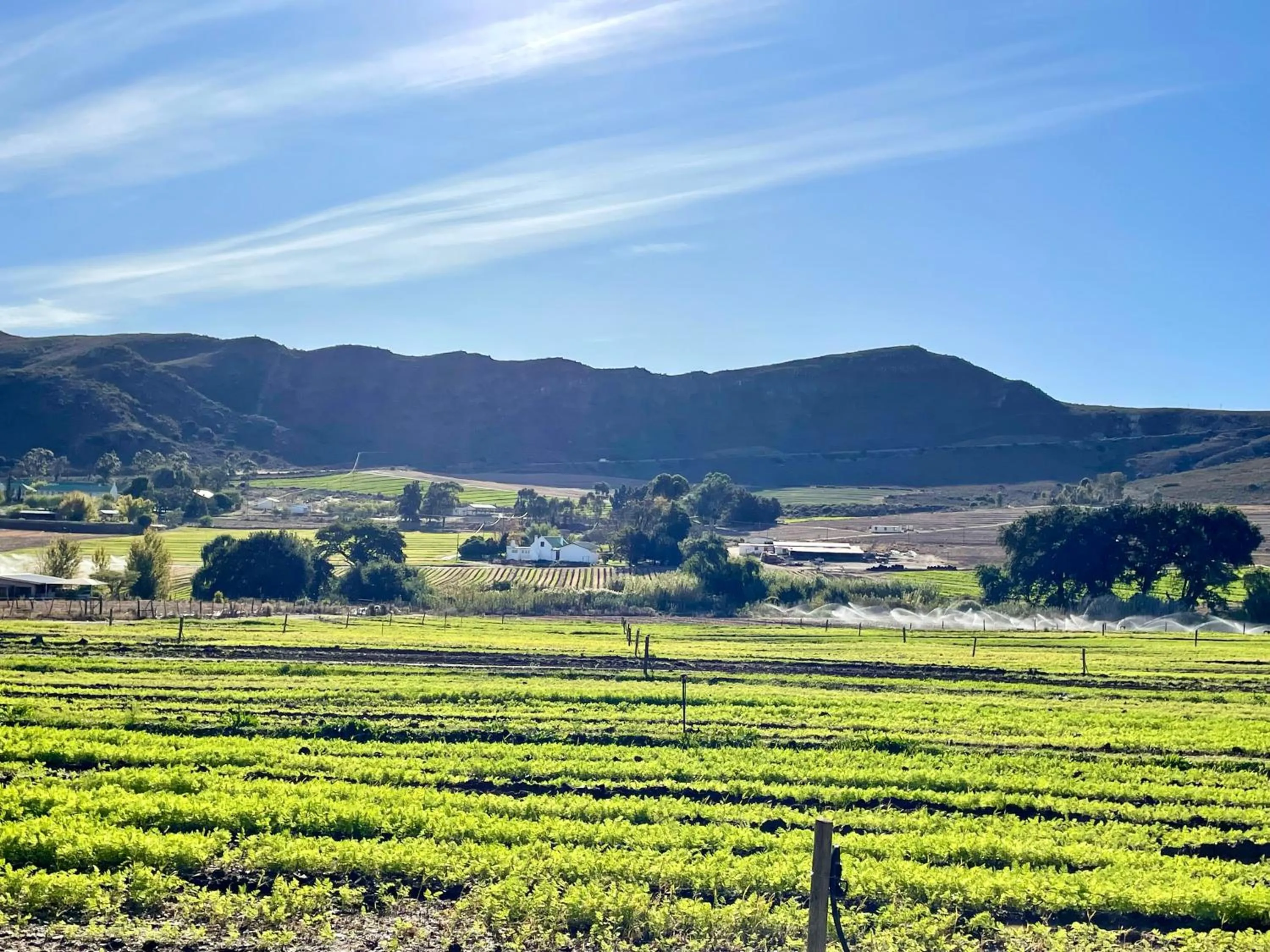 Natural landscape in Blue Cow Barn - Boutique Farm