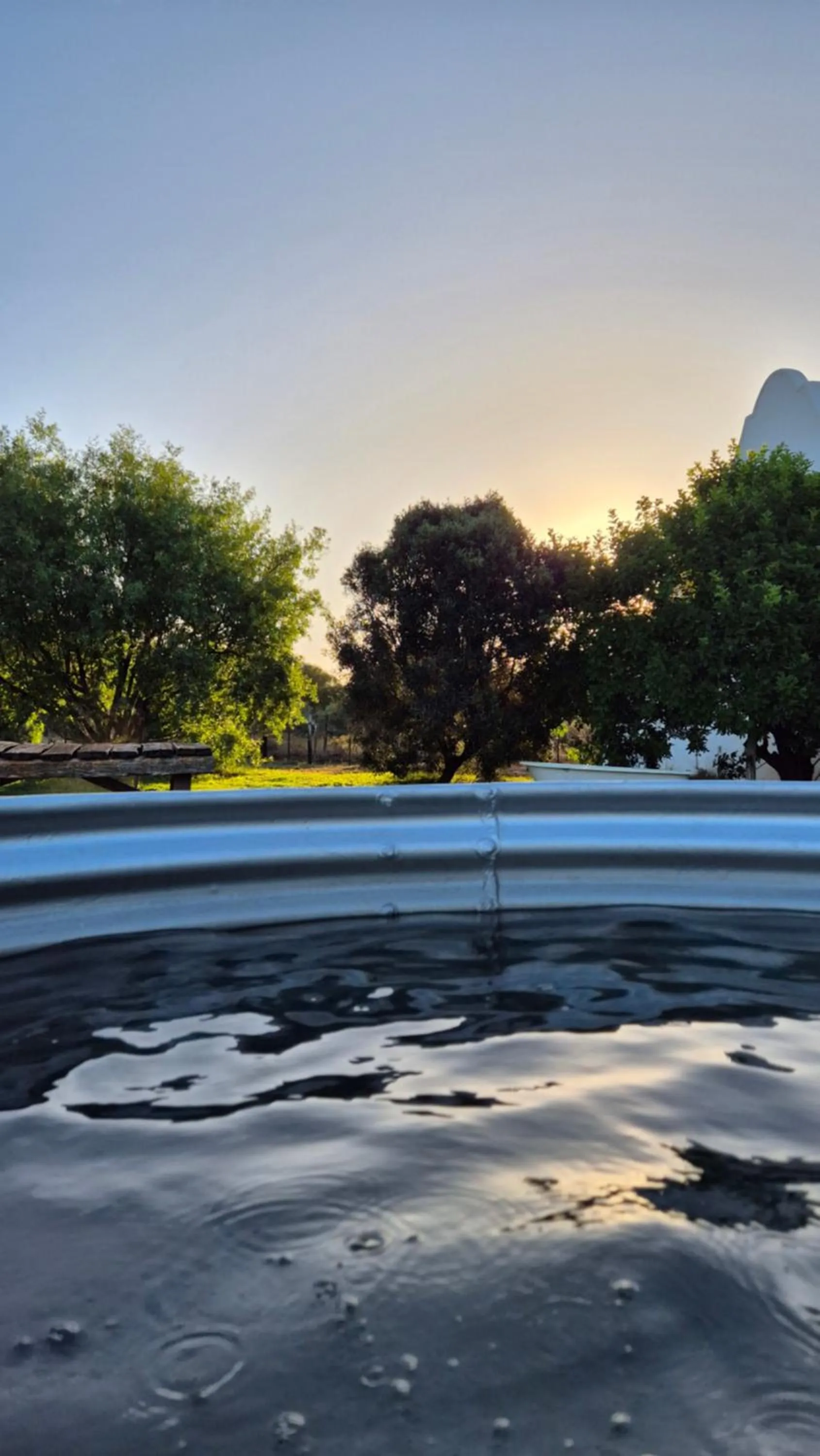 Swimming pool in Blue Cow Barn - Boutique Farm