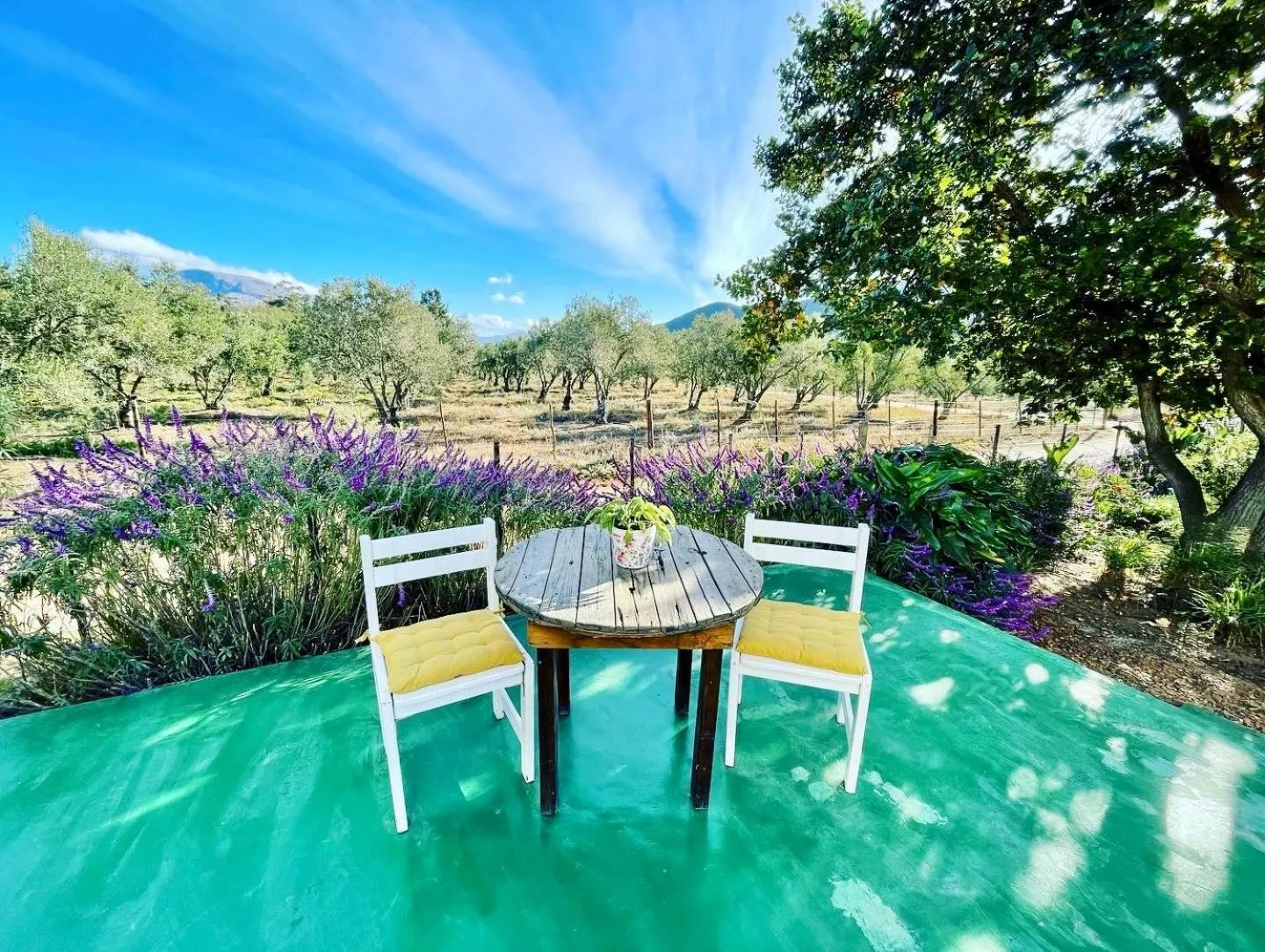 Patio in Blue Cow Barn - Boutique Farm