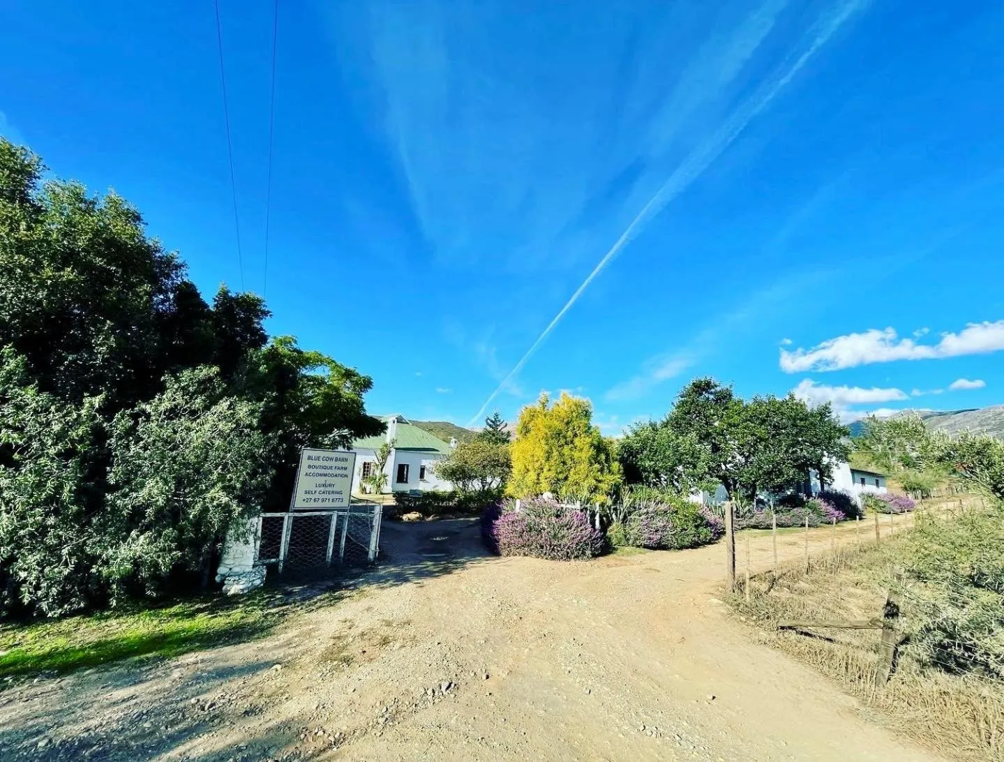 Property building in Blue Cow Barn - Boutique Farm