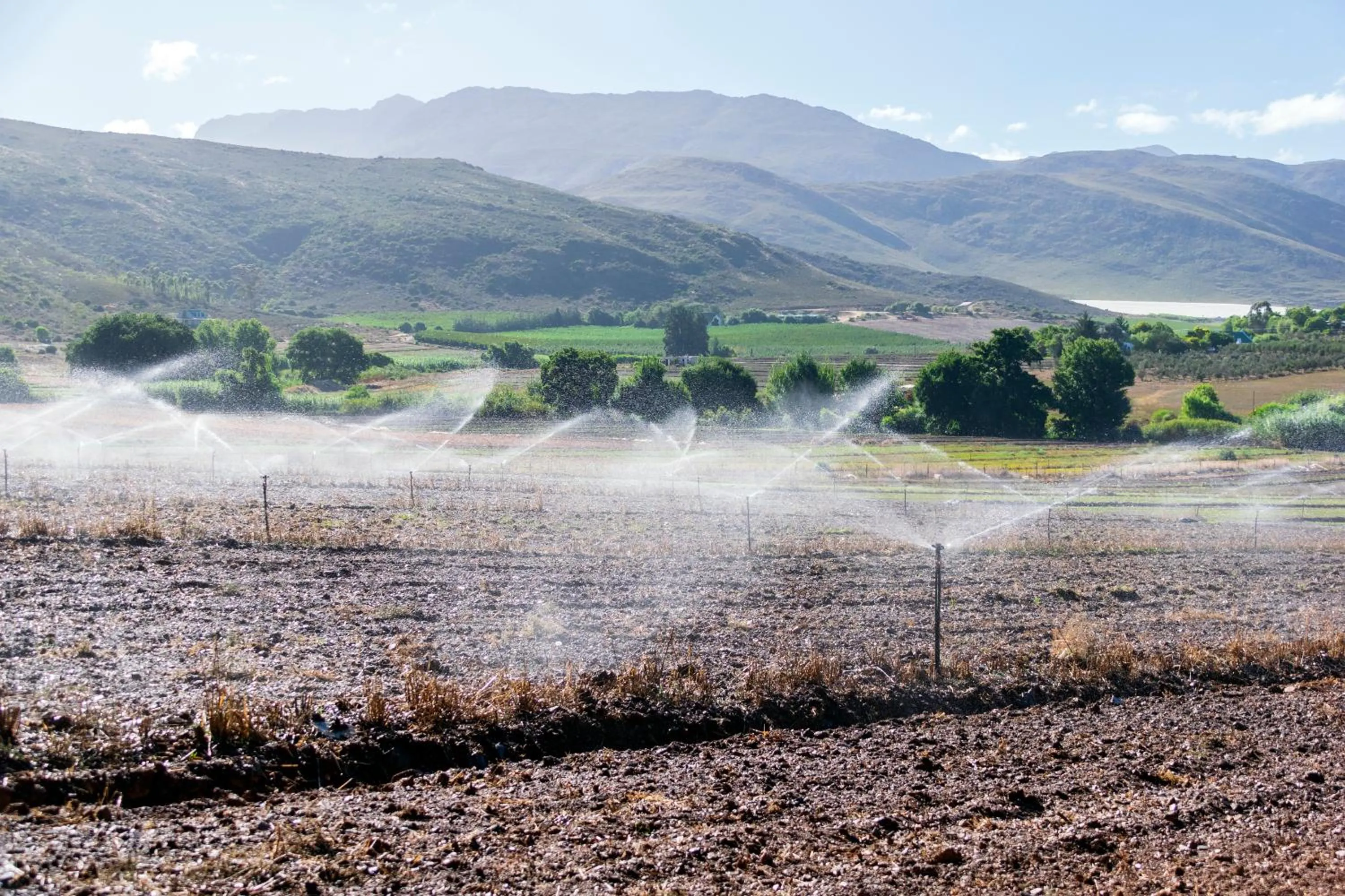 View (from property/room) in Blue Cow Barn - Boutique Farm