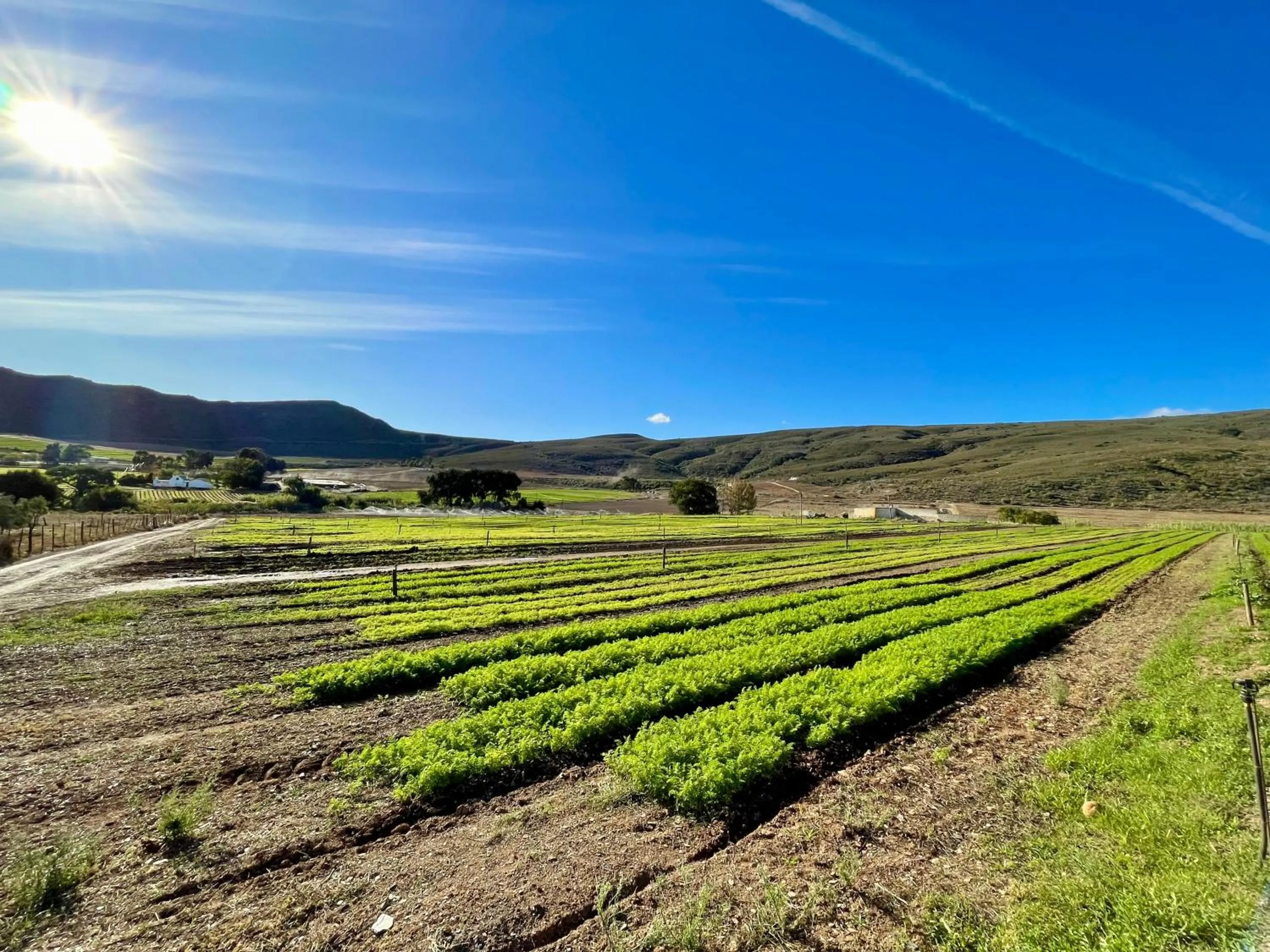 Natural landscape in Blue Cow Barn - Boutique Farm