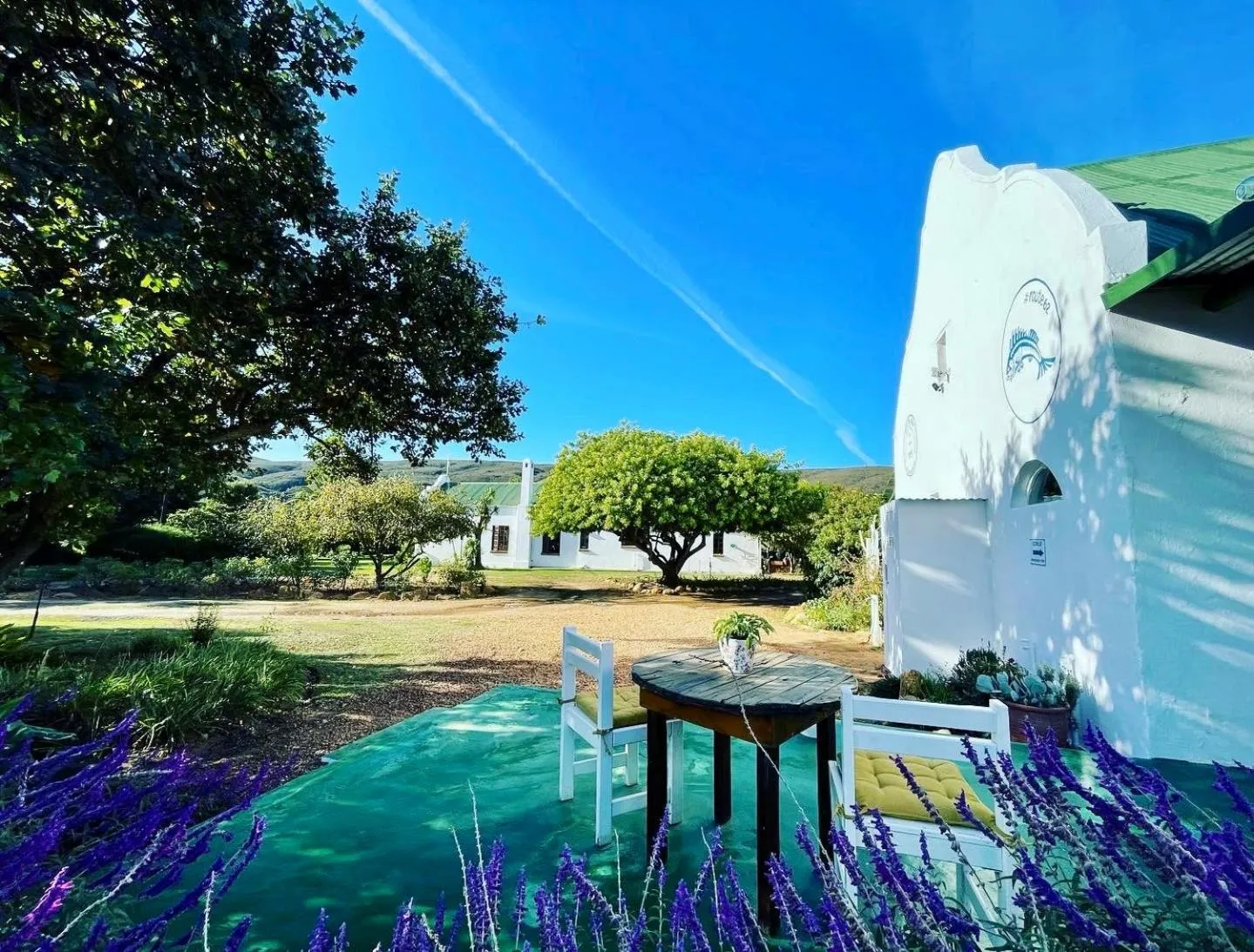 Patio in Blue Cow Barn - Boutique Farm