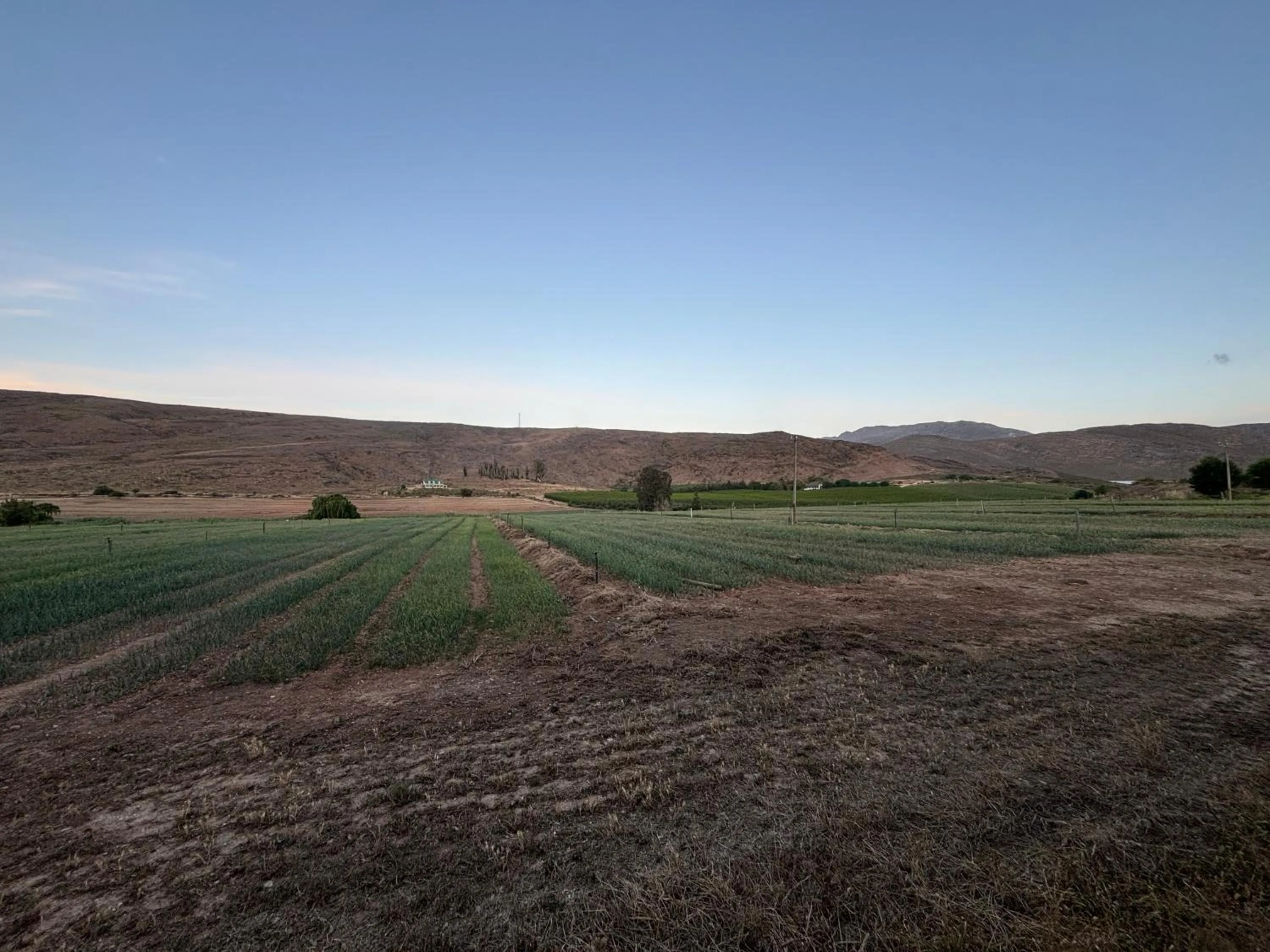 Garden in Blue Cow Barn - Boutique Farm