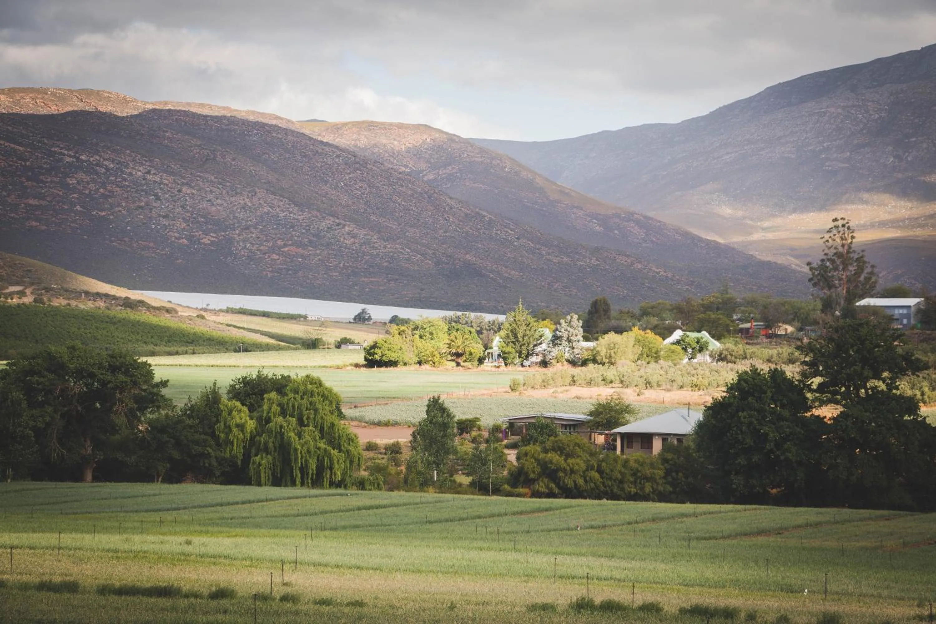 Neighbourhood in Blue Cow Barn - Boutique Farm