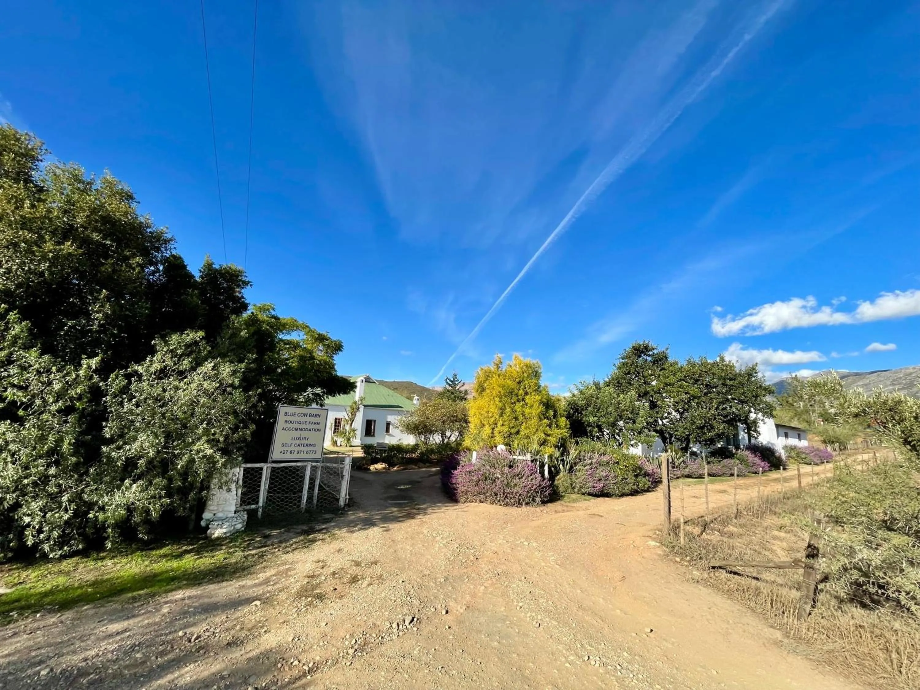 Neighbourhood in Blue Cow Barn - Boutique Farm