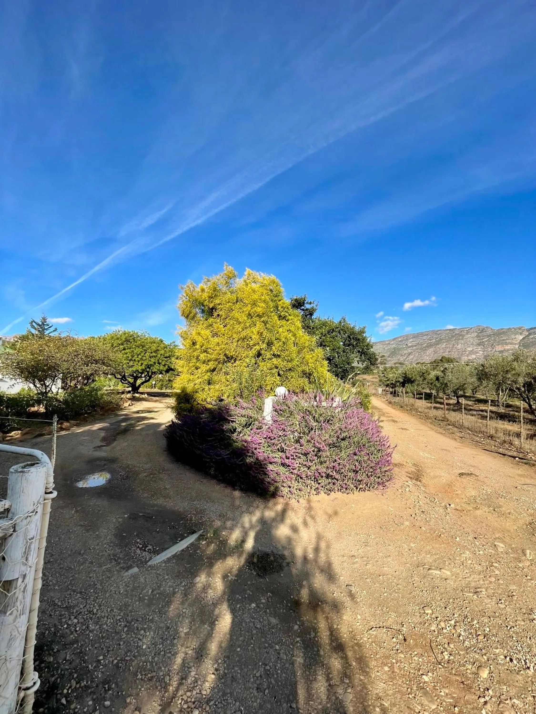 Natural landscape in Blue Cow Barn - Boutique Farm