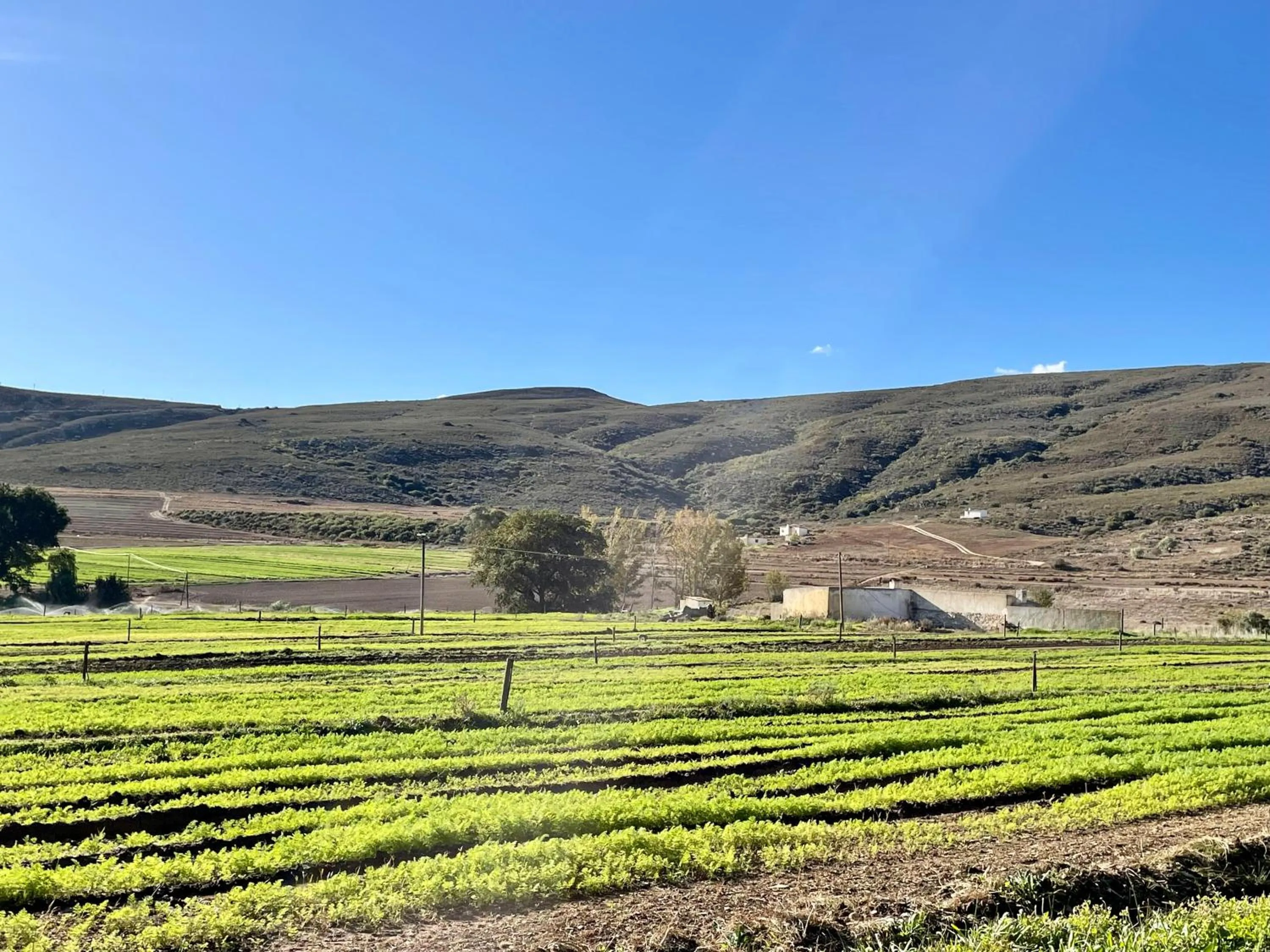 Natural landscape in Blue Cow Barn - Boutique Farm