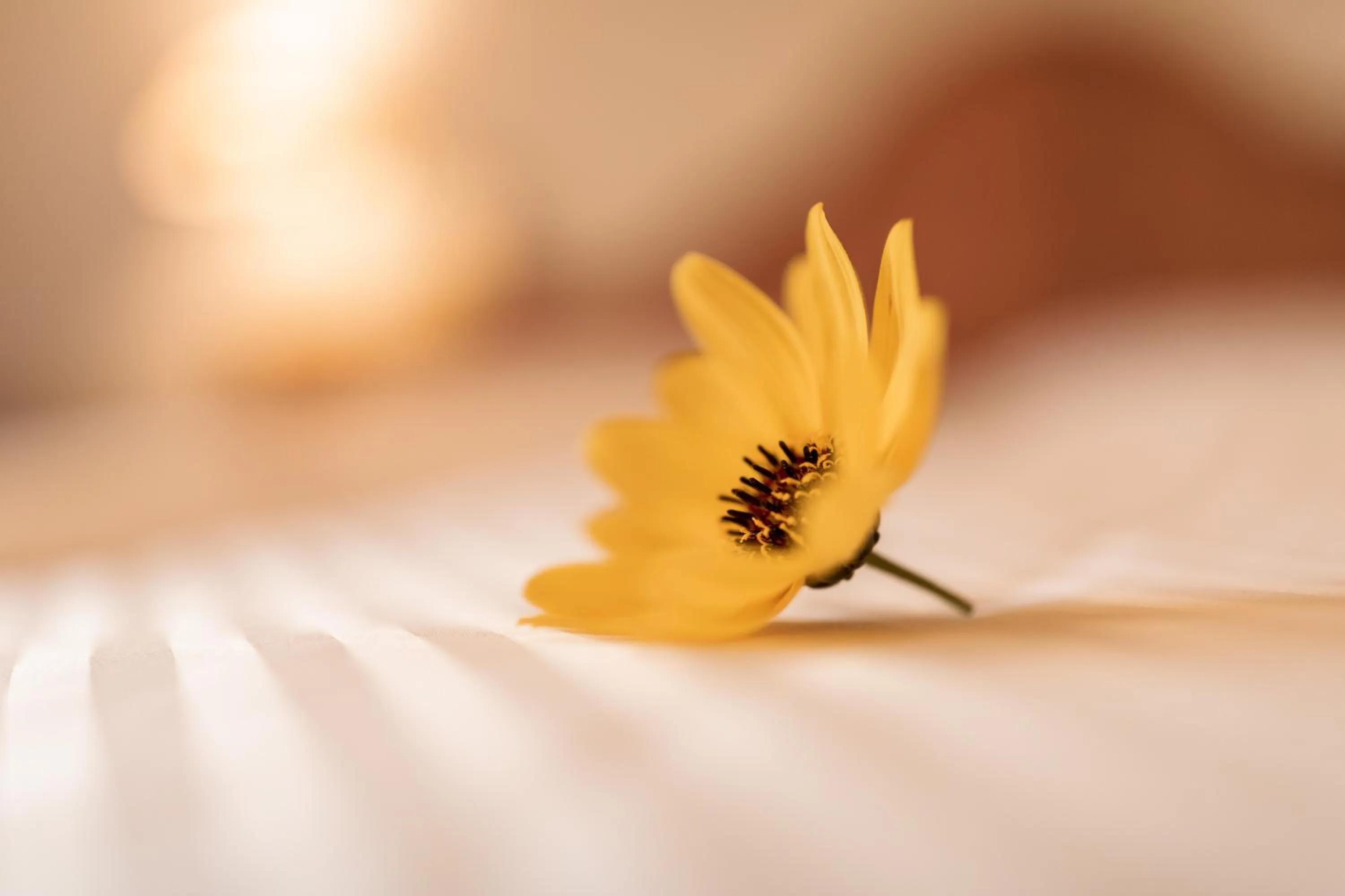 Photo of the whole room in Berghotel zum Zirm