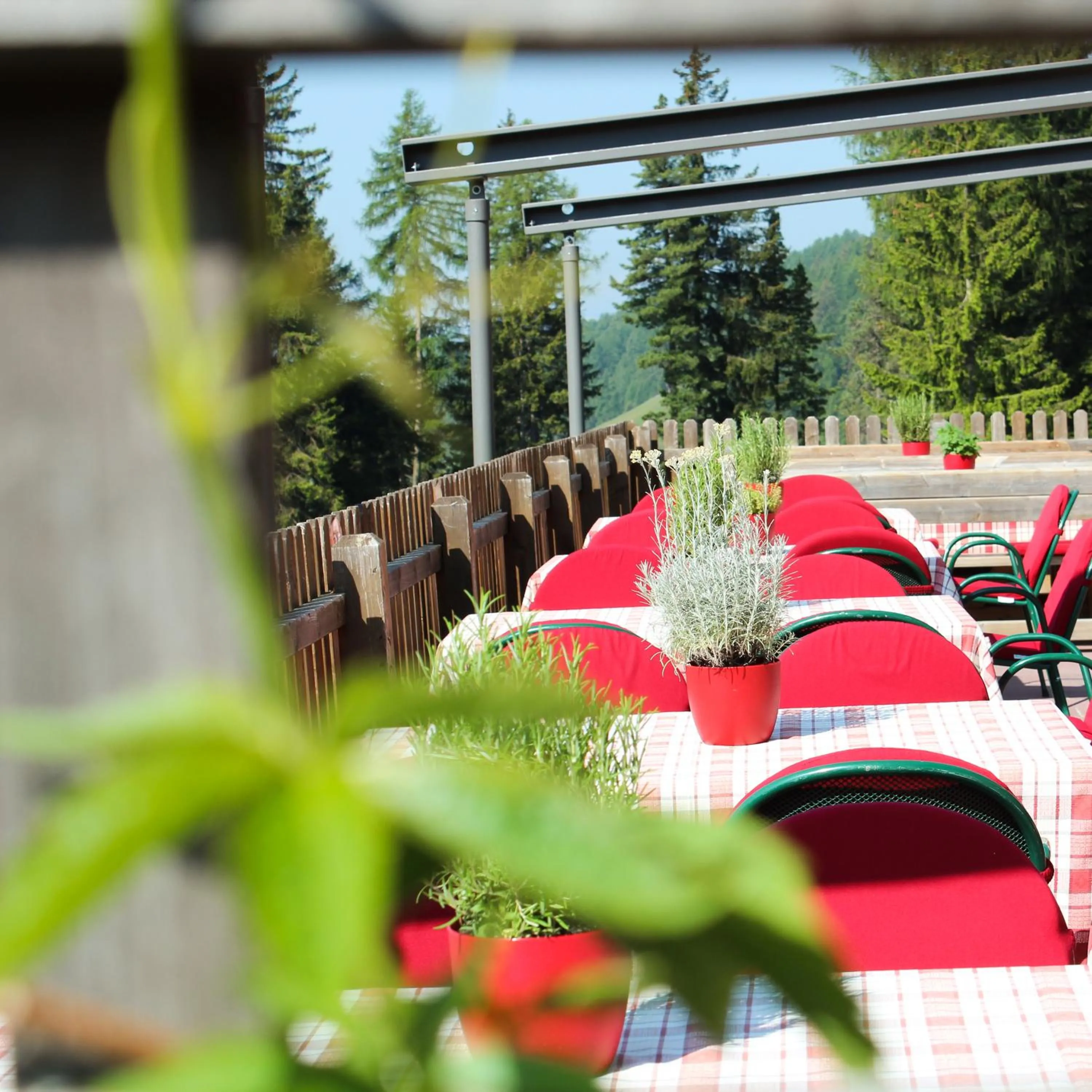 Balcony/Terrace in Berghotel zum Zirm