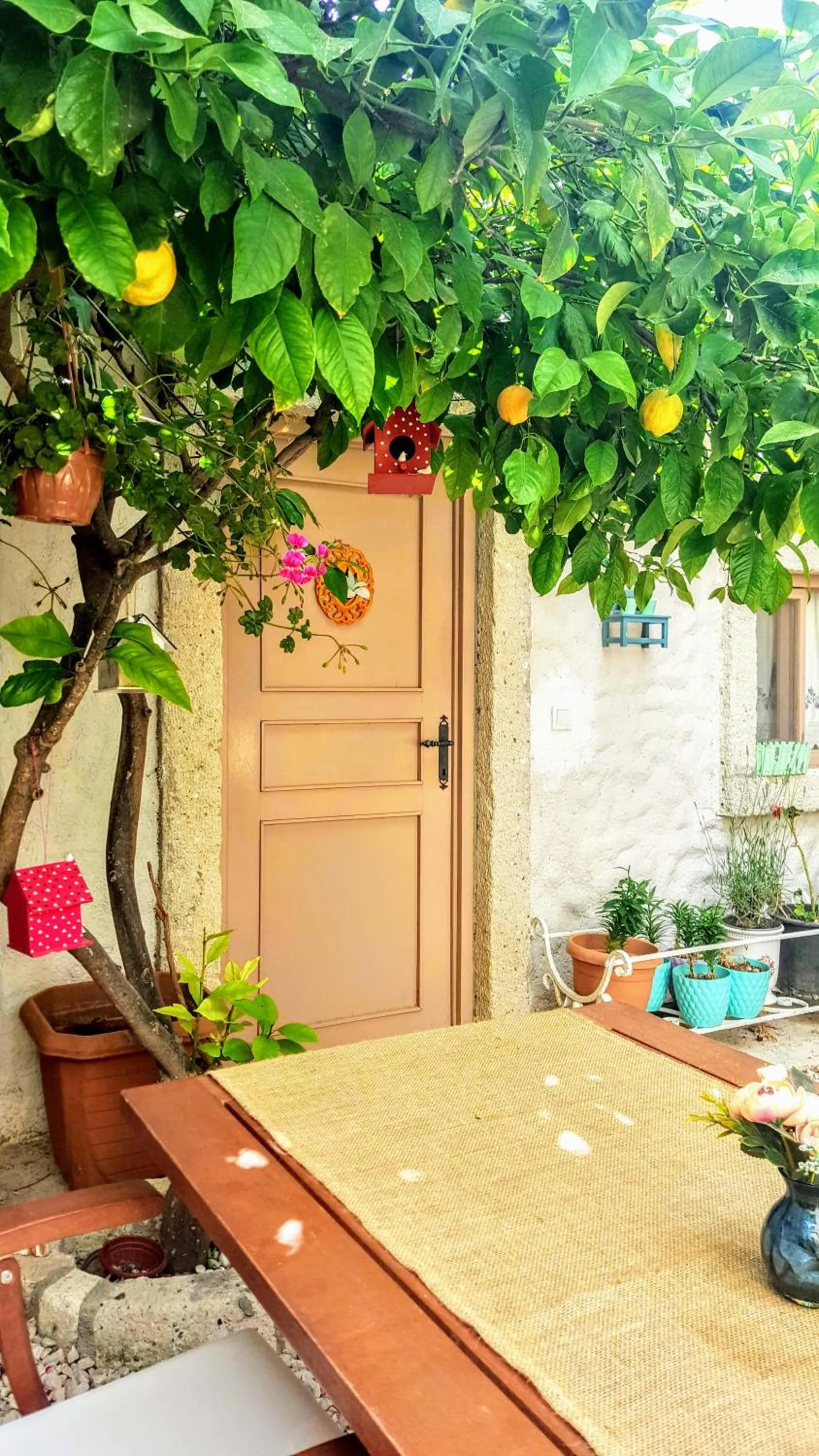 Garden in Lilyum Alaçatı - Taş Ev