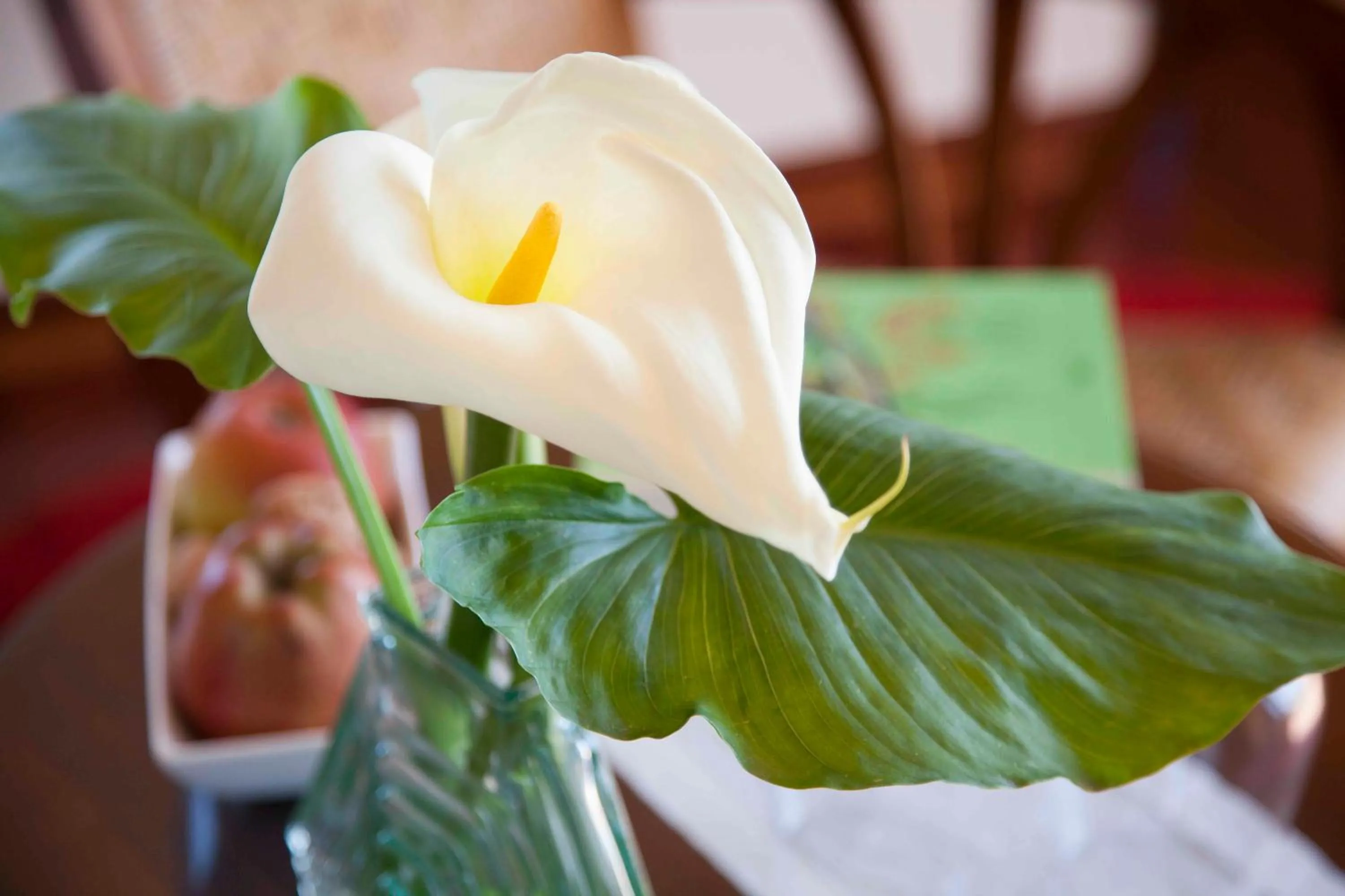 Decorative detail in Casona de La Paca