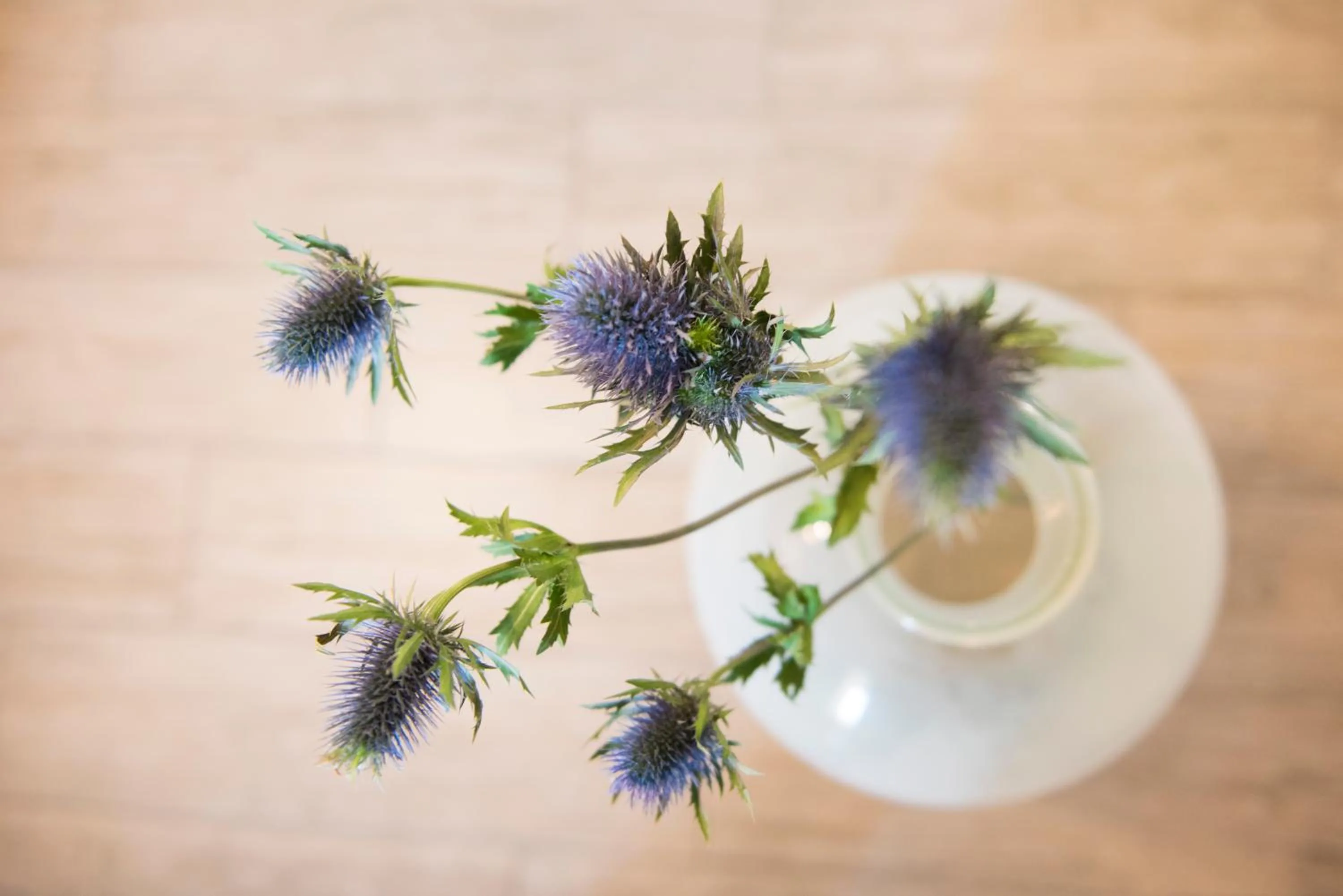 Decorative detail in Locanda Stella