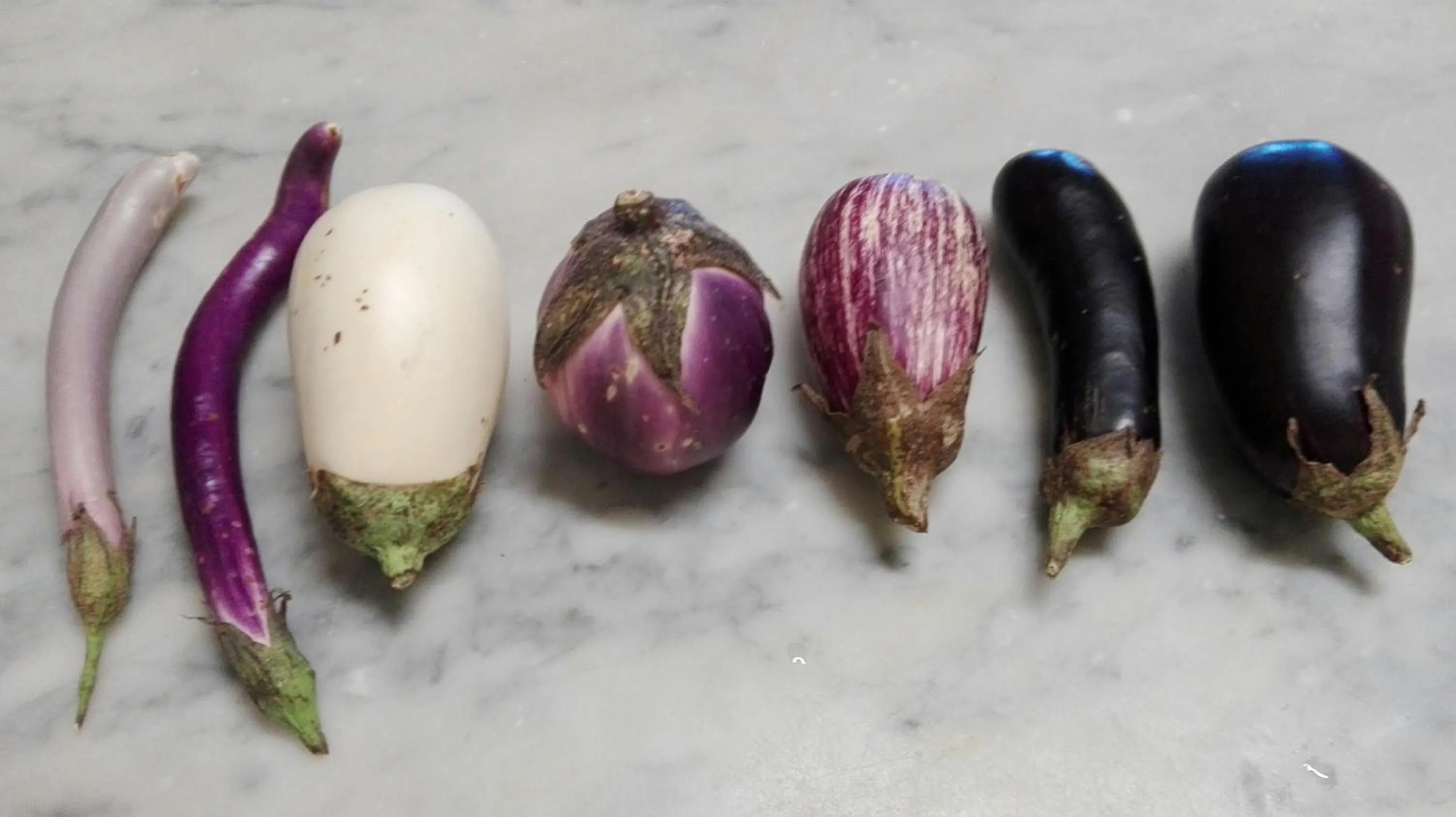 Food close-up in Locanda Stella