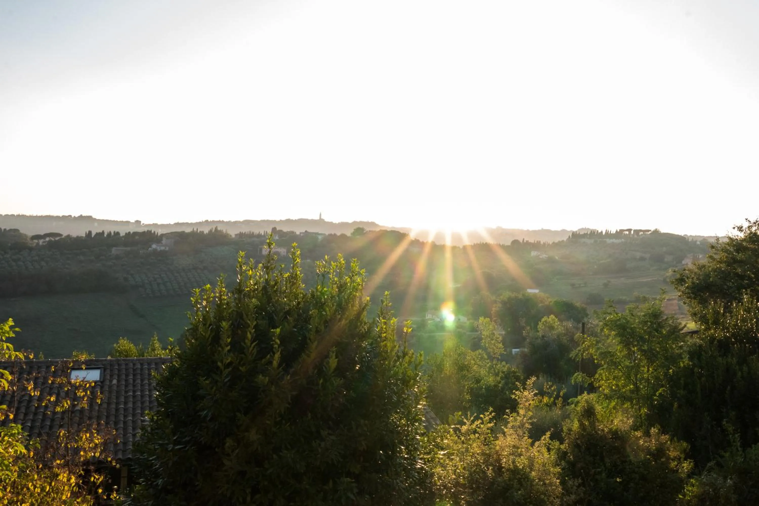 Balcony/Terrace in Locanda Stella