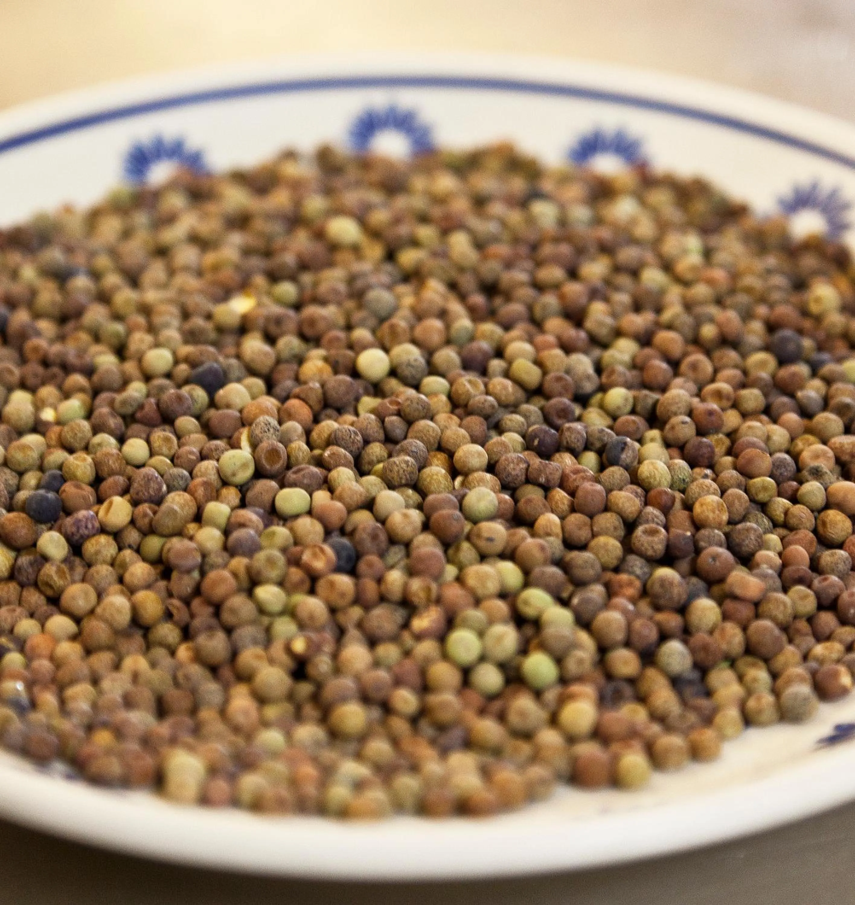 Food close-up in Locanda Stella