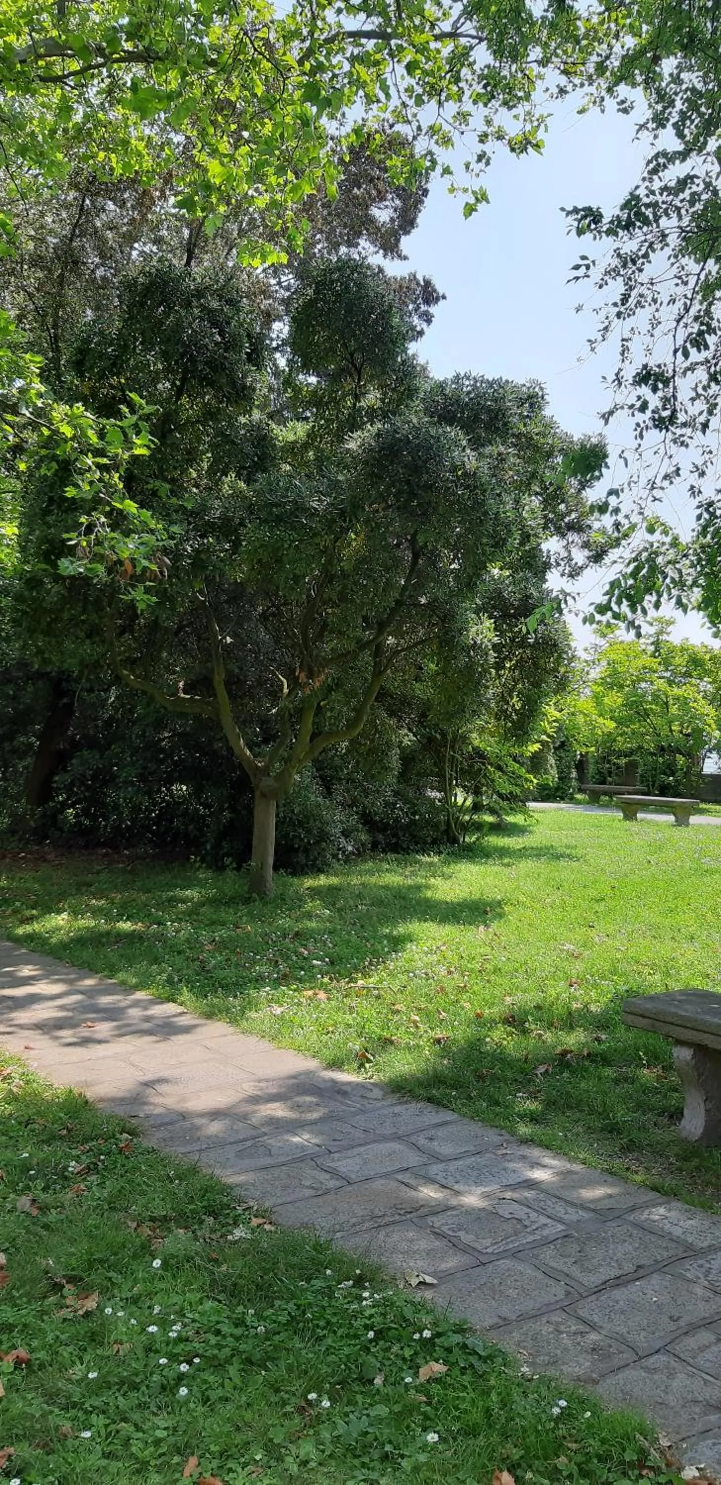 Garden view in Isola di San Servolo - Centro Soggiorno