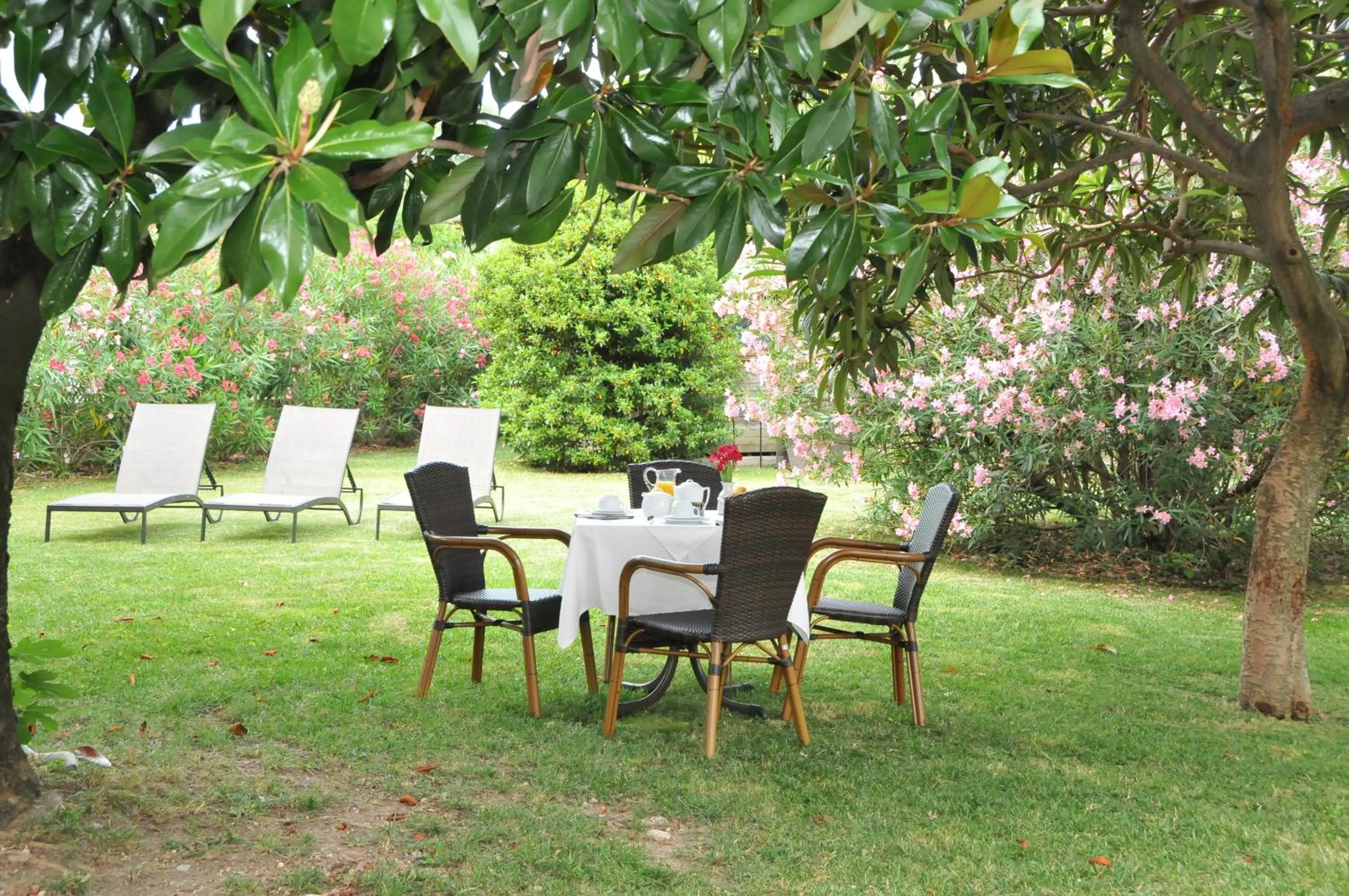 Patio in Albergo Valentina