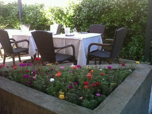 Restaurant/places to eat in Albergo Valentina