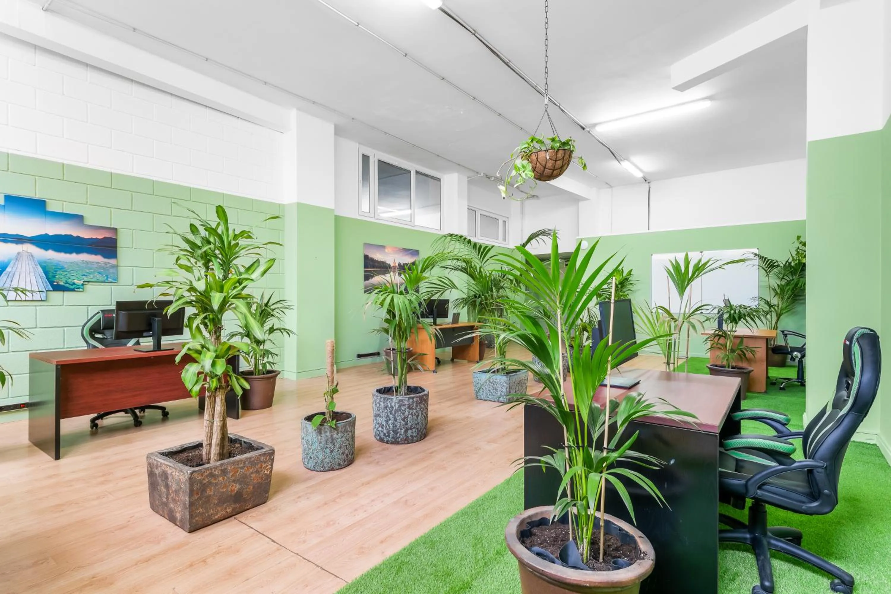 TV and multimedia in Club Tarahal