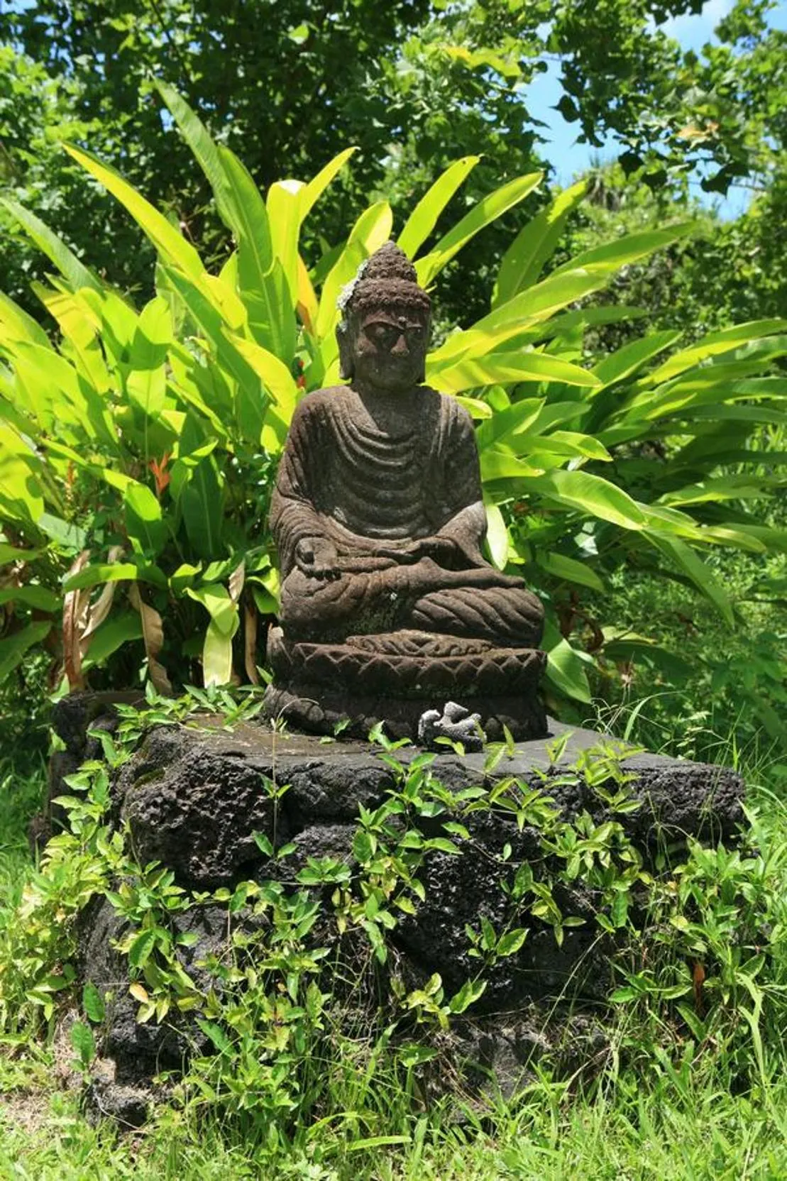 Kirpal Meditation and Ecological Center