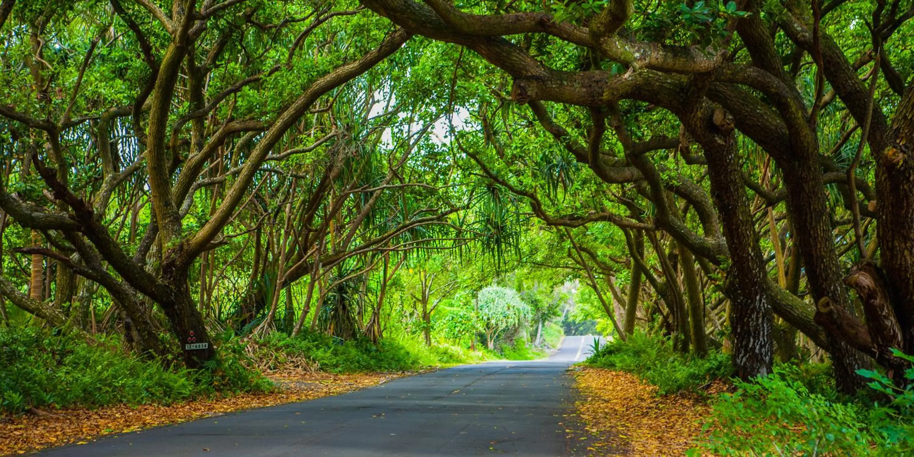 Kirpal Meditation and Ecological Center