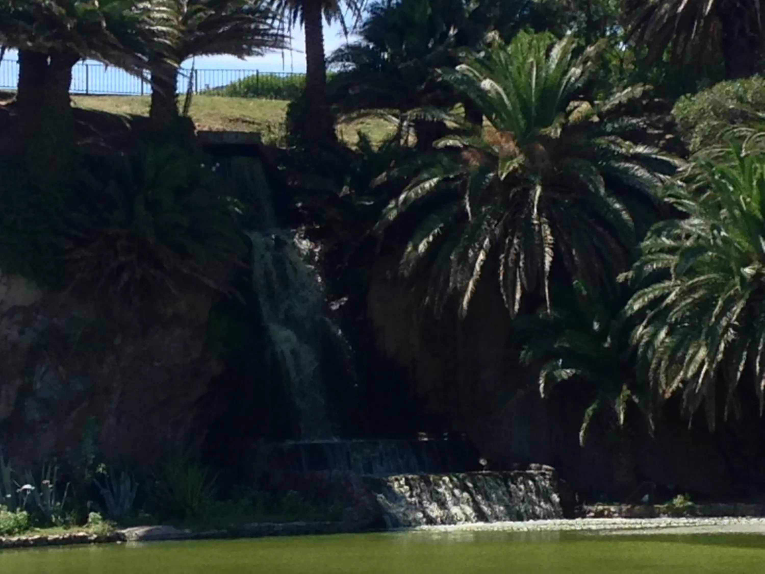 Natural landscape in Apartamento Punta Carretas