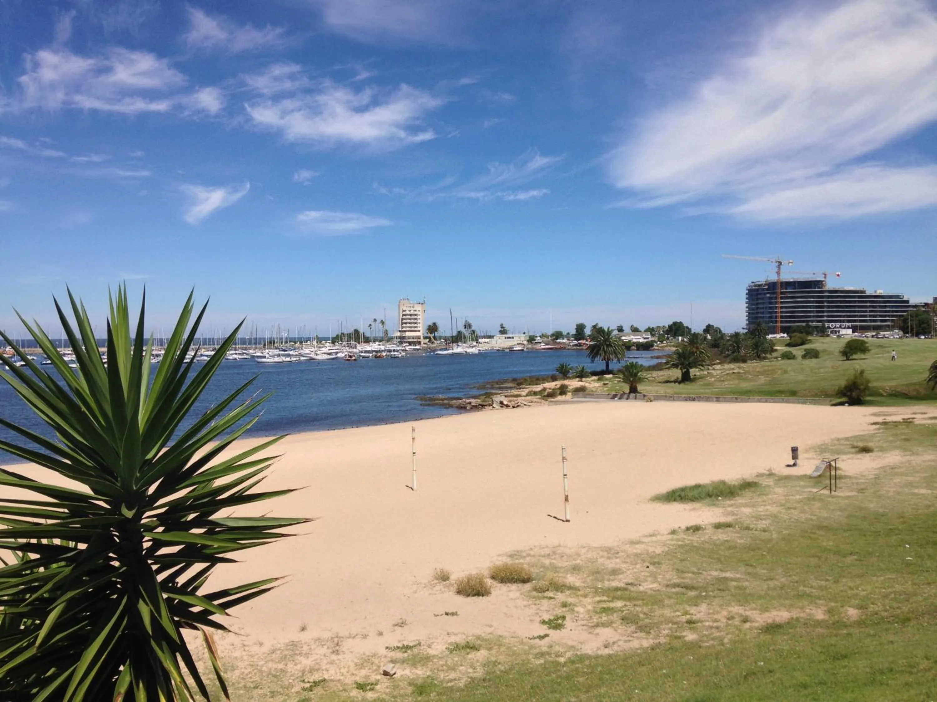 Beach in Apartamento Punta Carretas