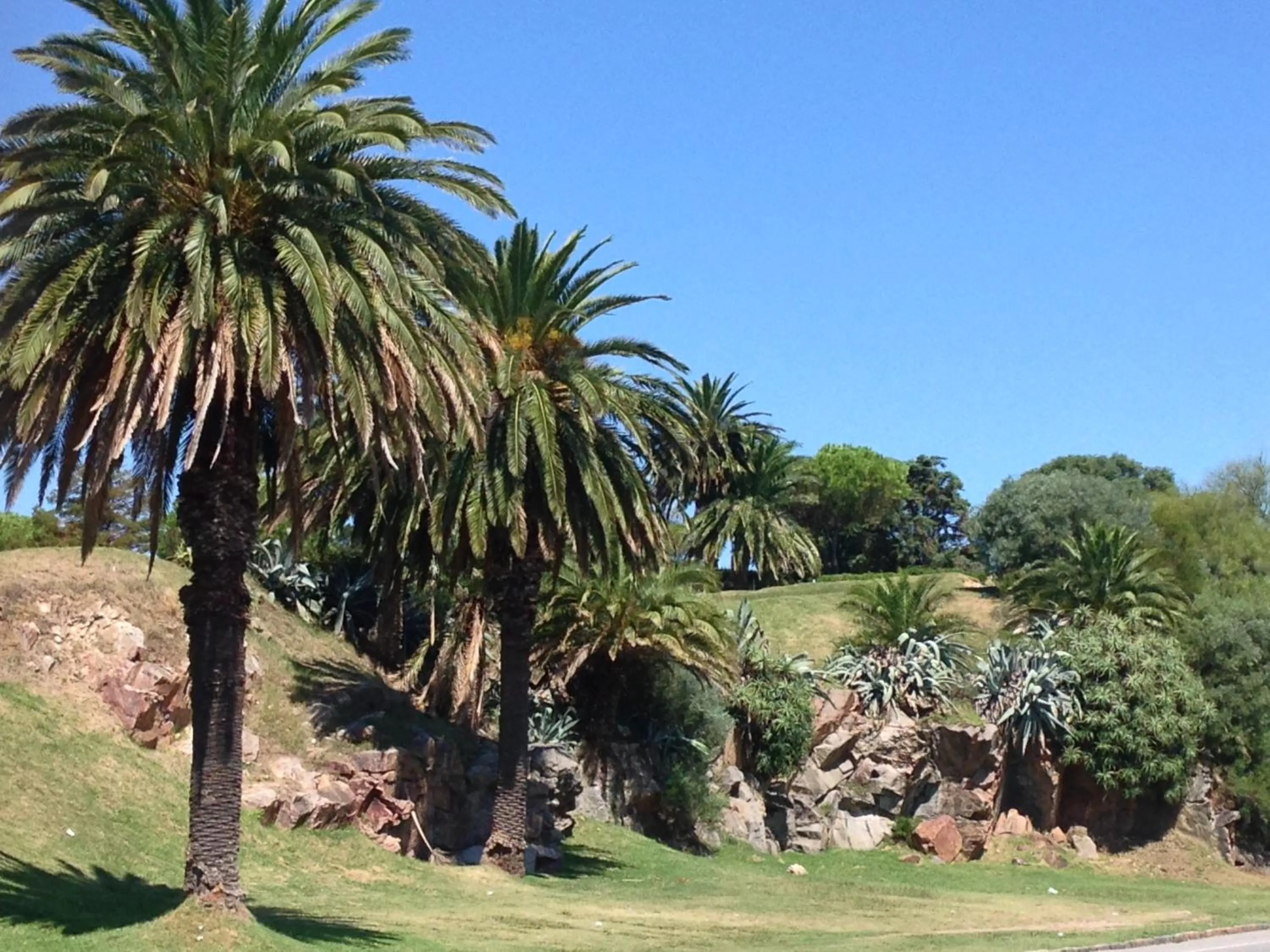 Natural landscape in Apartamento Punta Carretas