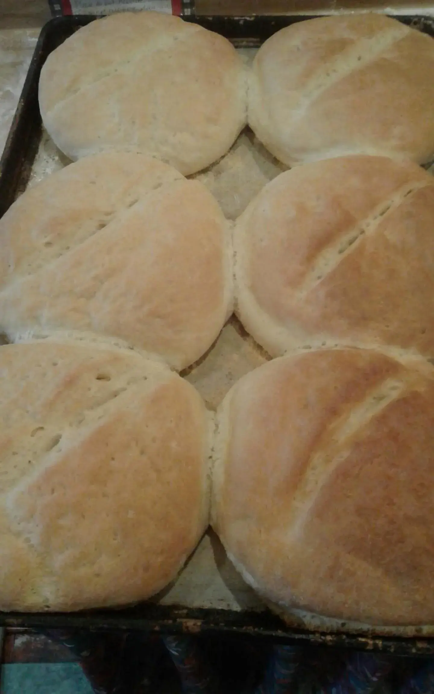 Restaurant/places to eat in No View Farm Restaurant/places to eat in No View Farm