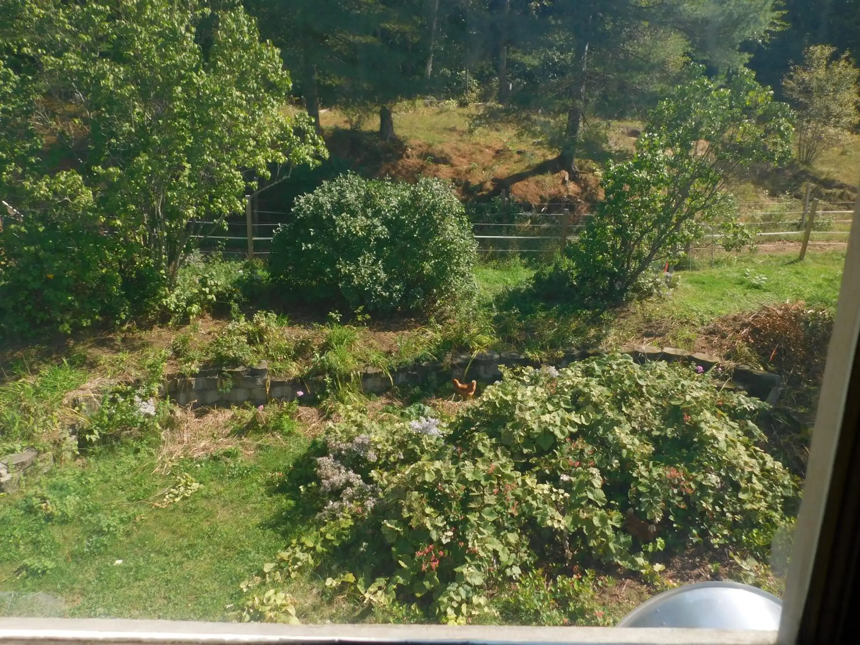 Garden in No View Farm Garden in No View Farm