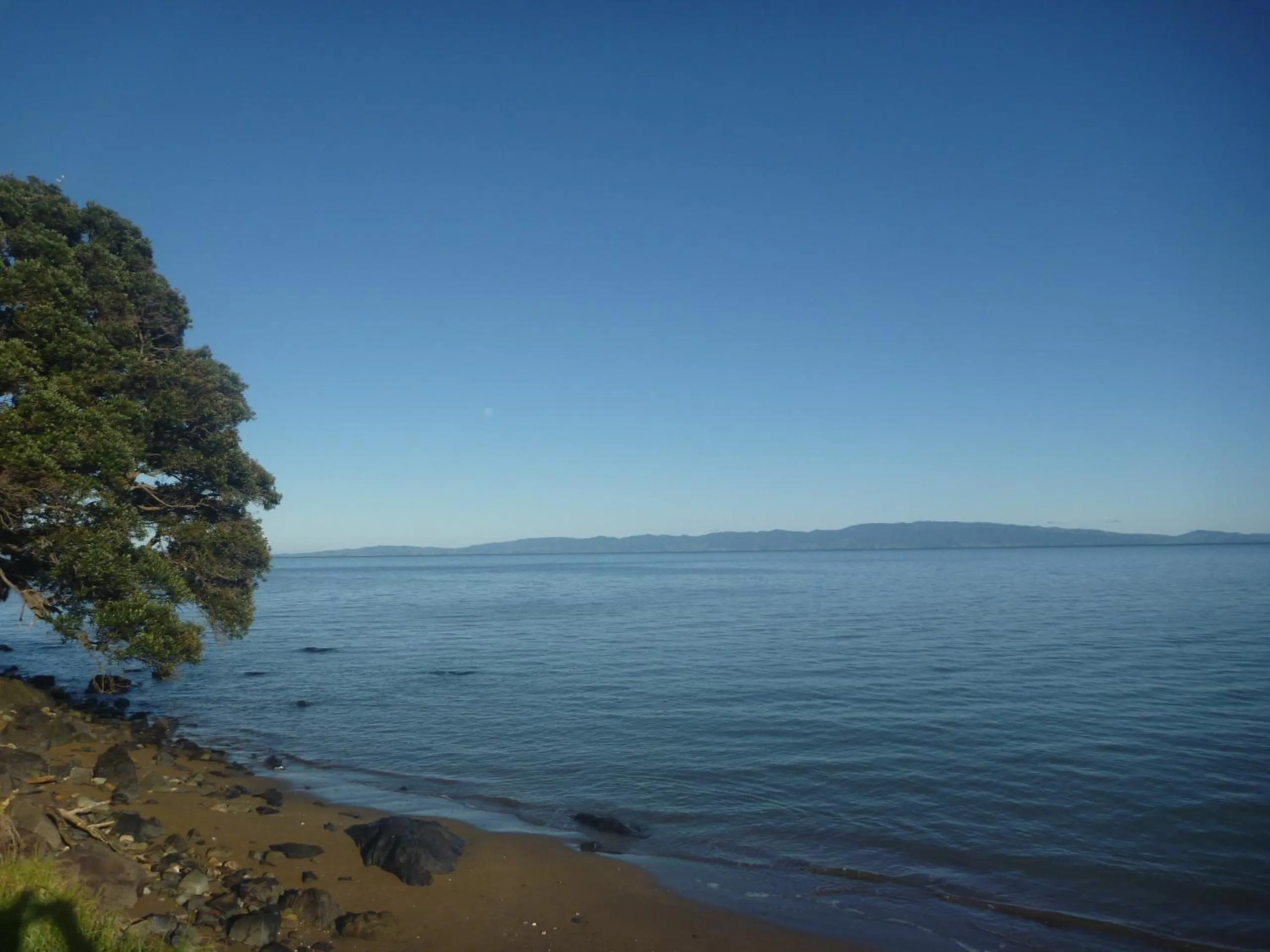 Beach in Pohutukawa Coast BnB