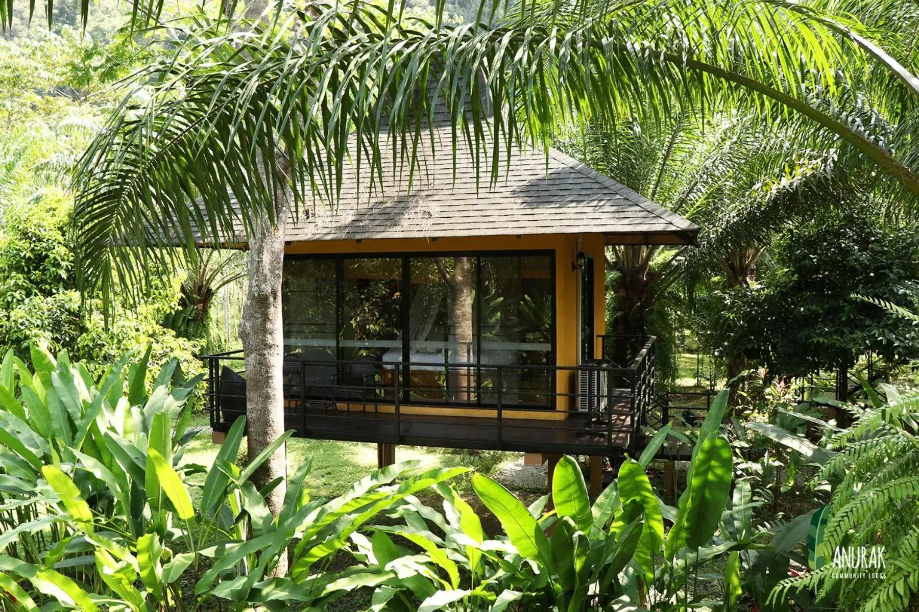 Photo of the whole room in Anurak Community Lodge - SHA Plus Photo of the whole room in Anurak Community Lodge - SHA Plus