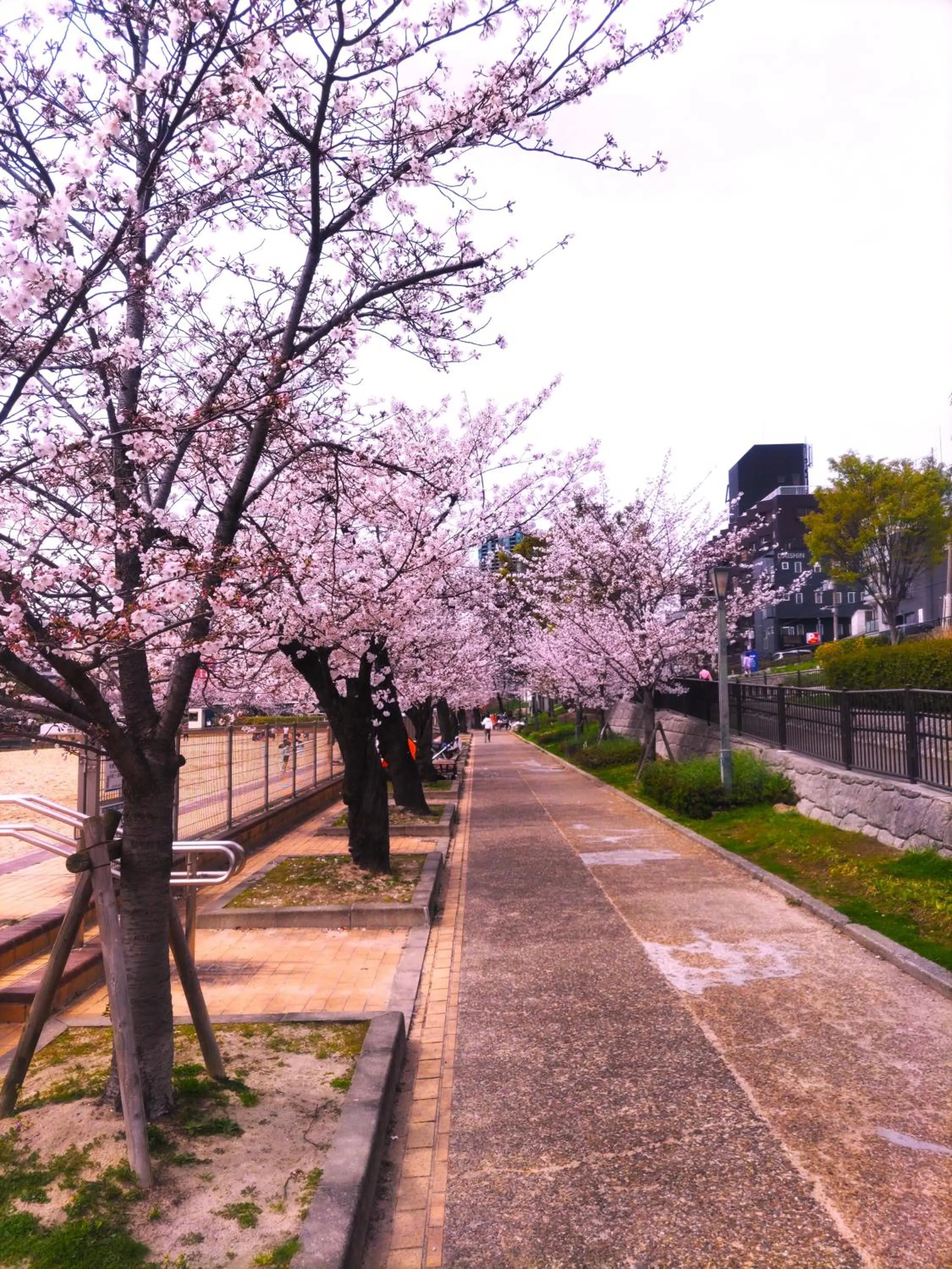 Nearby landmark in noah grande