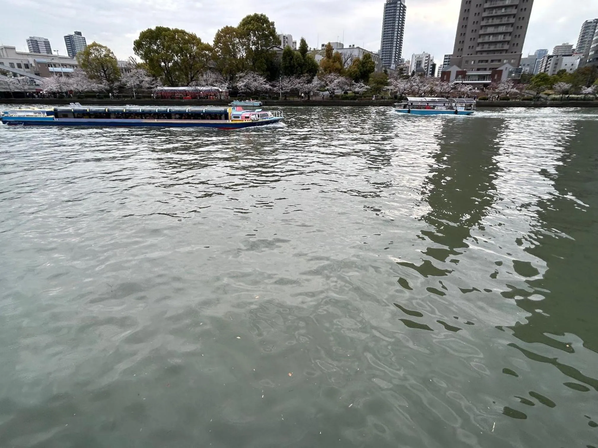 Nearby landmark in noah grande