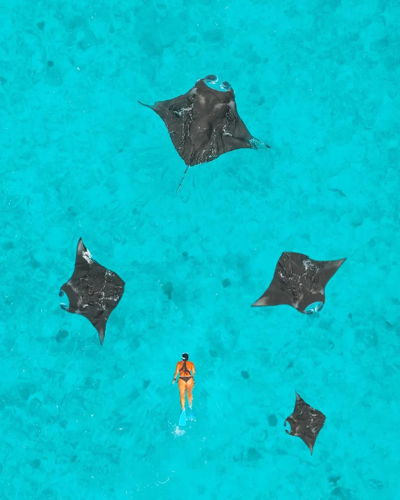 Activities in NH Collection Maldives Reethi Resort