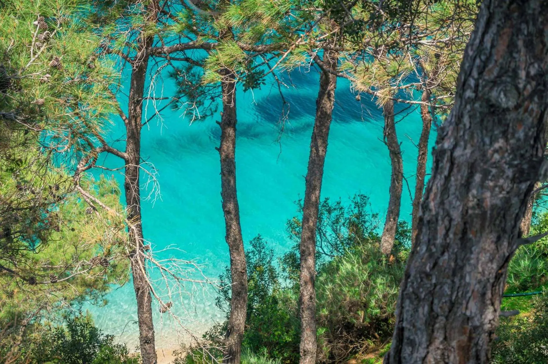 Day in Armonia Bay Hotel