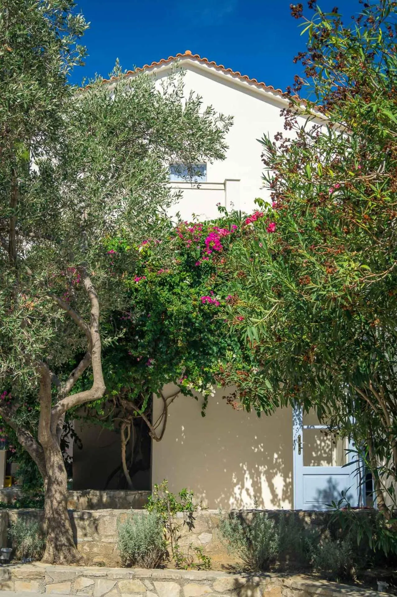 Day in Armonia Bay Hotel