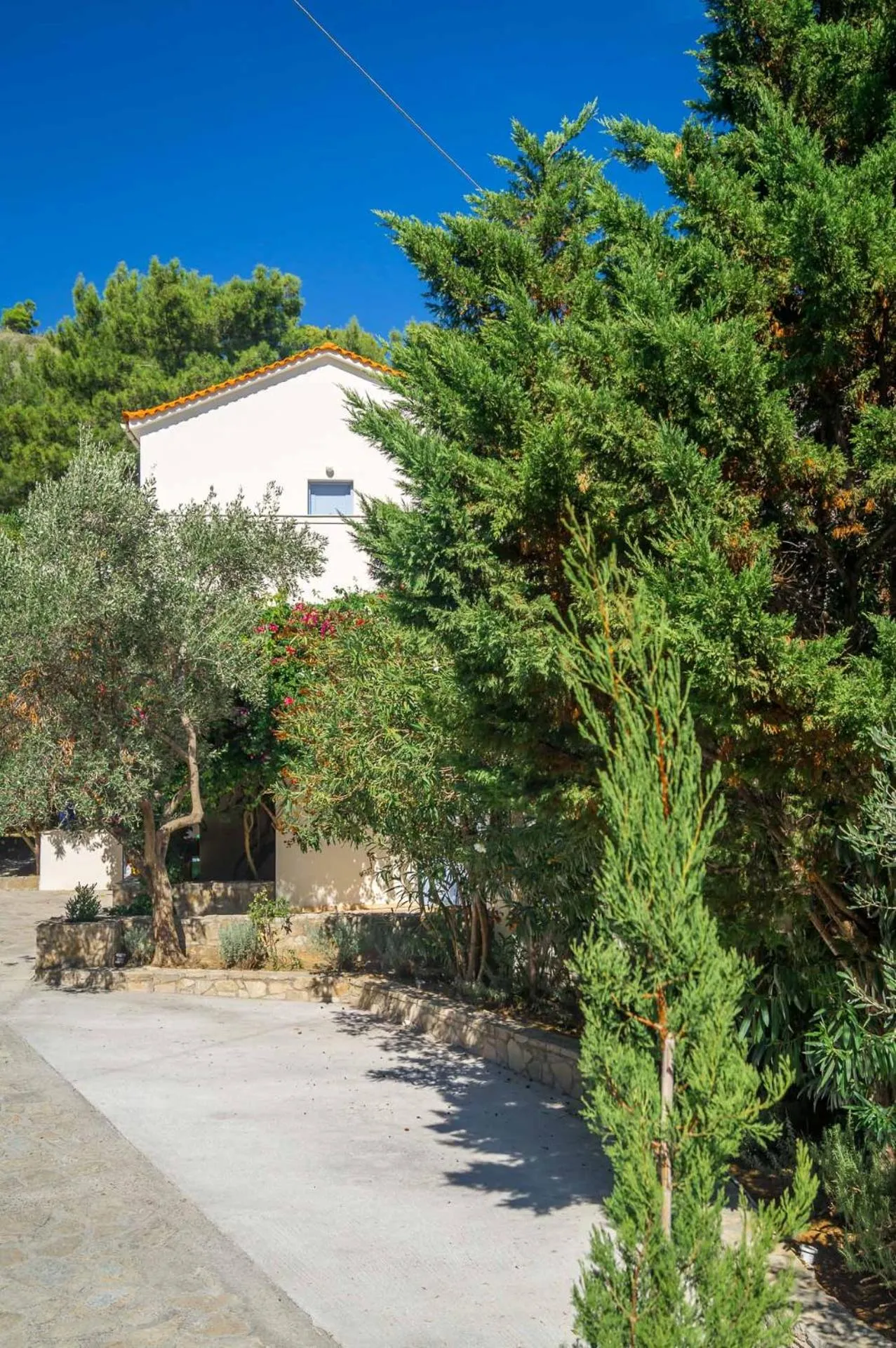 Day in Armonia Bay Hotel